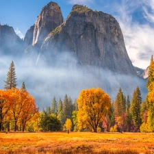 California, The United States, Yosemite National Park, rocks, viewes, Mountains, Fog, trees, autumn