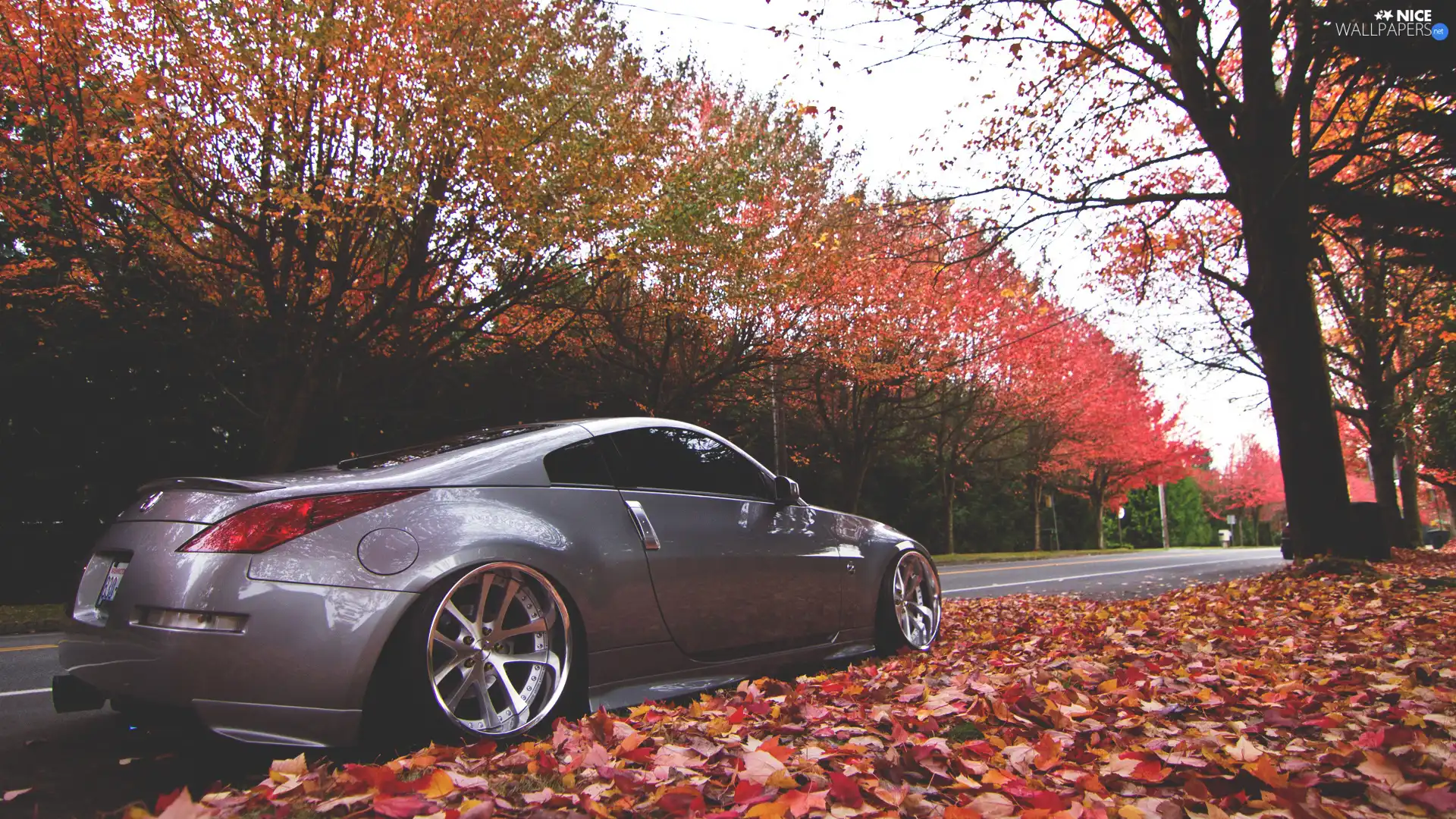 autumn, Nissan, 350Z, Way