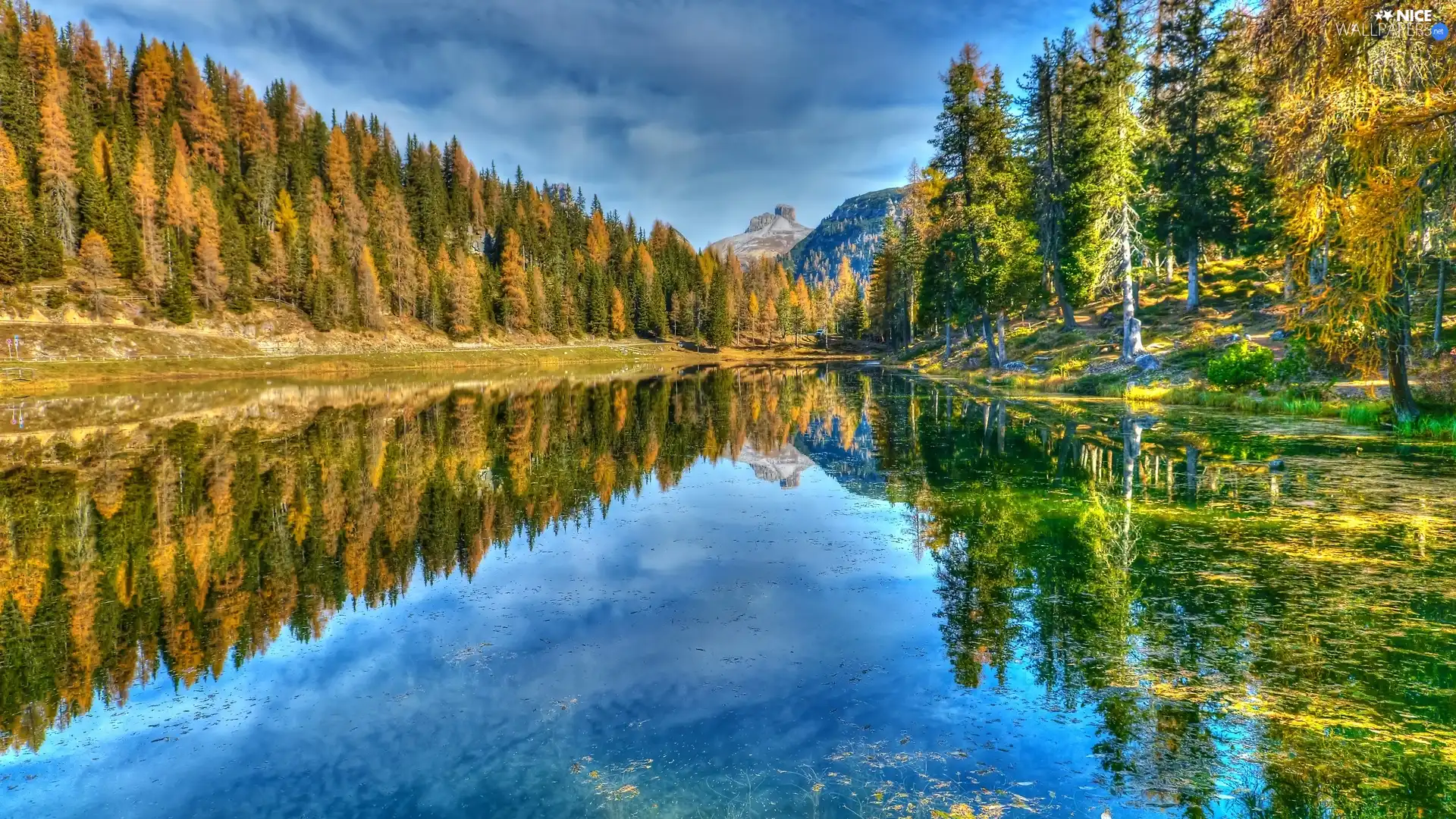 autumn, forest, Italy, trees, Province of Belluno, Dolomites Mountains, Antorno Lake, viewes