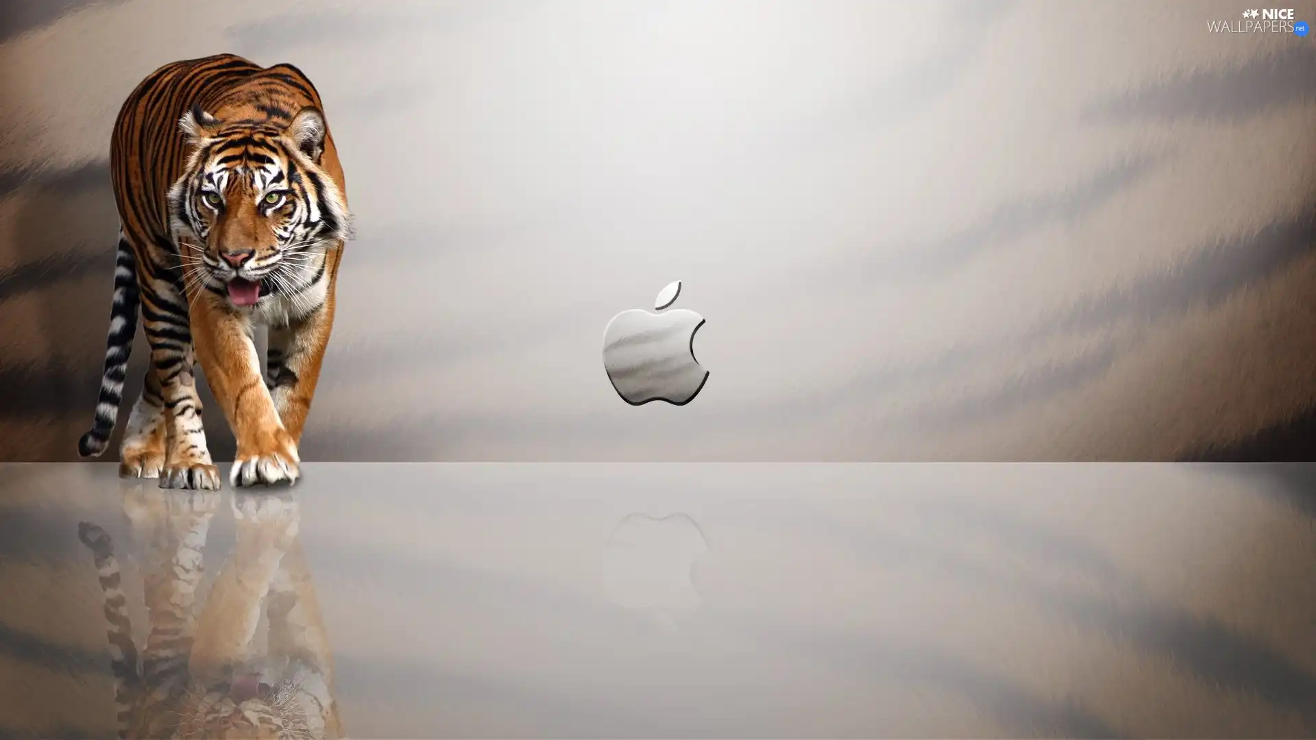 Apple, tiger, logo
