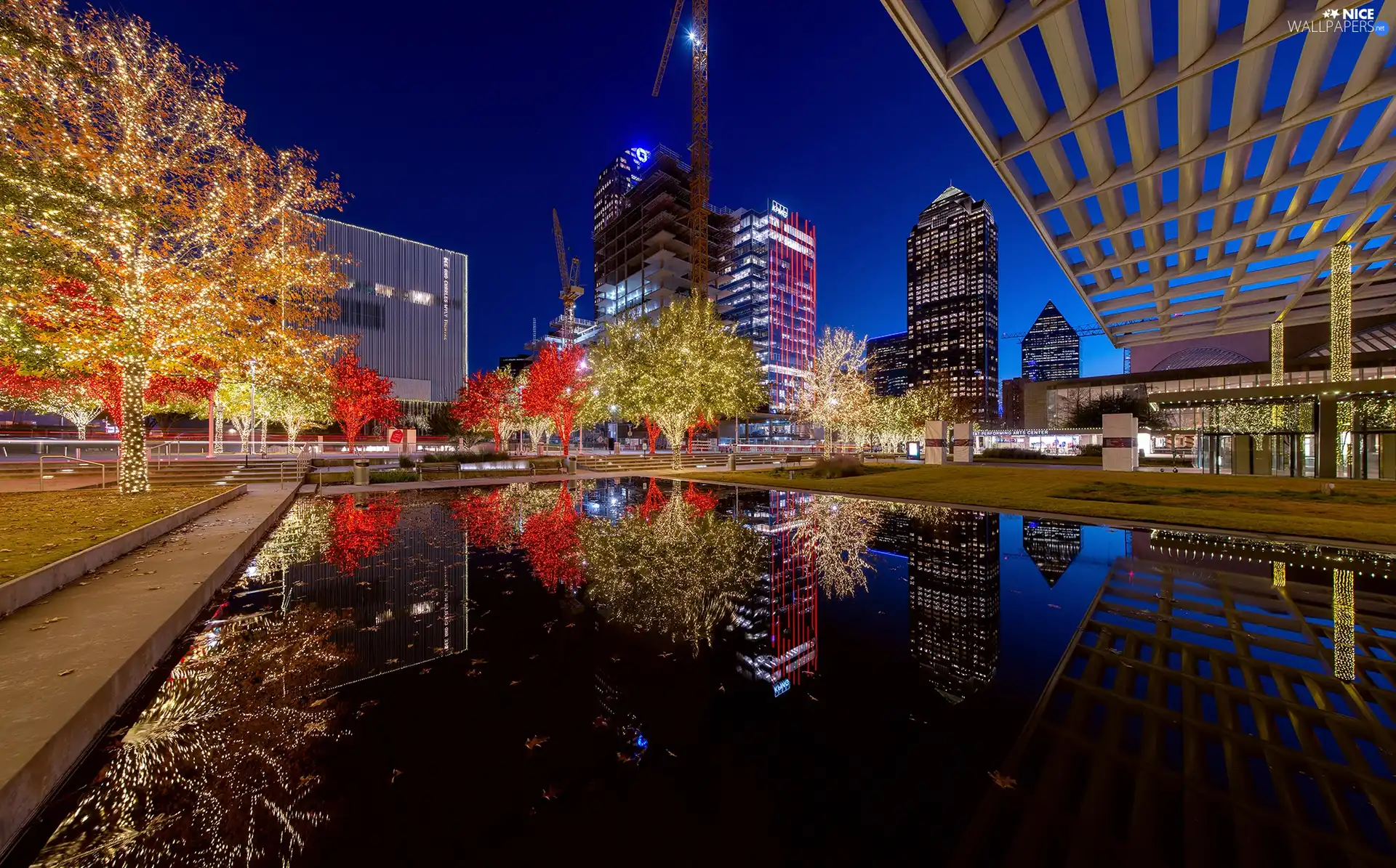 illuminated, Dallas, The United States, viewes, skyscrapers, City at Night, Teksas, Night, trees, pond