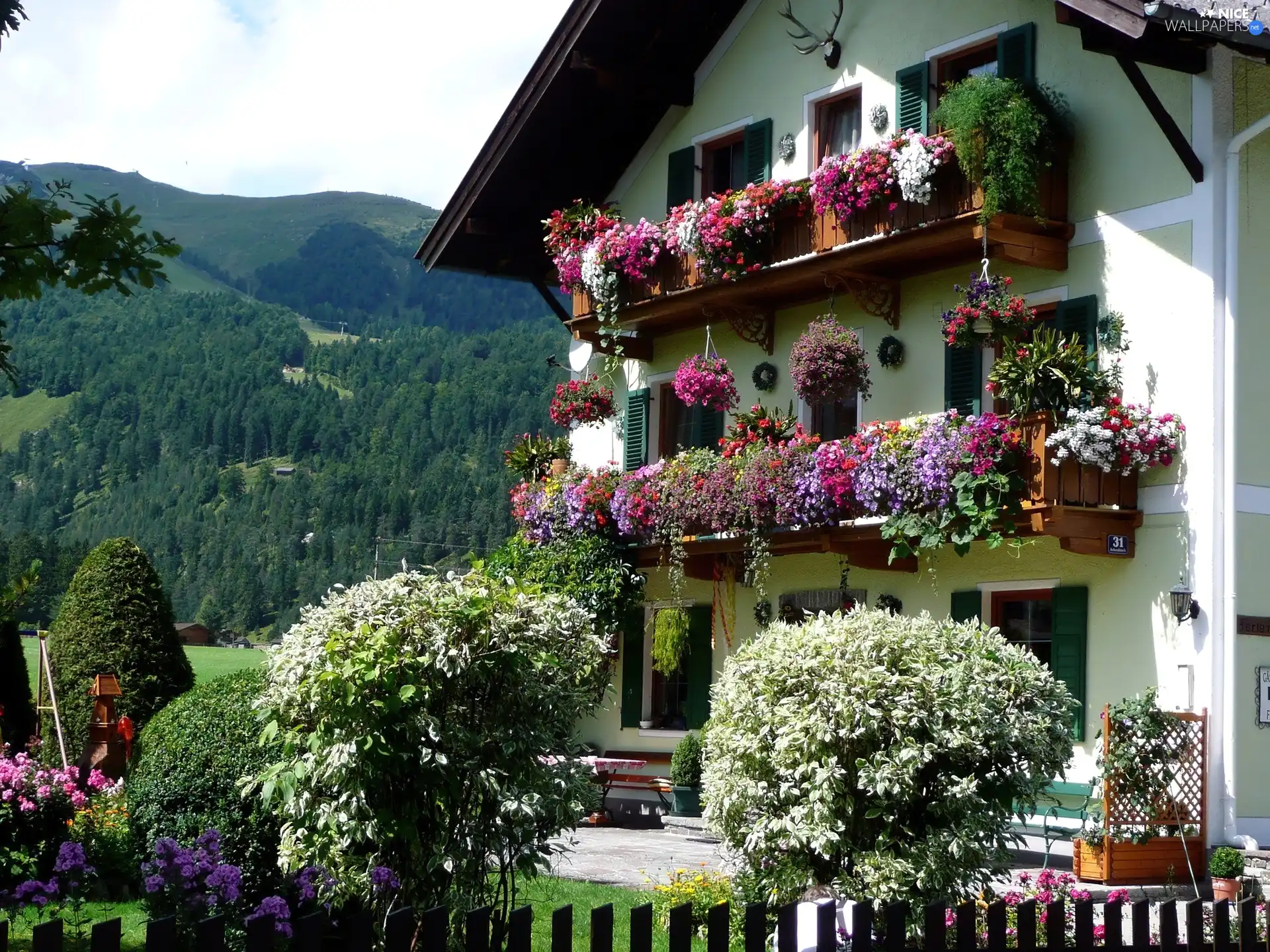 house, Garden, Austria, Mountains