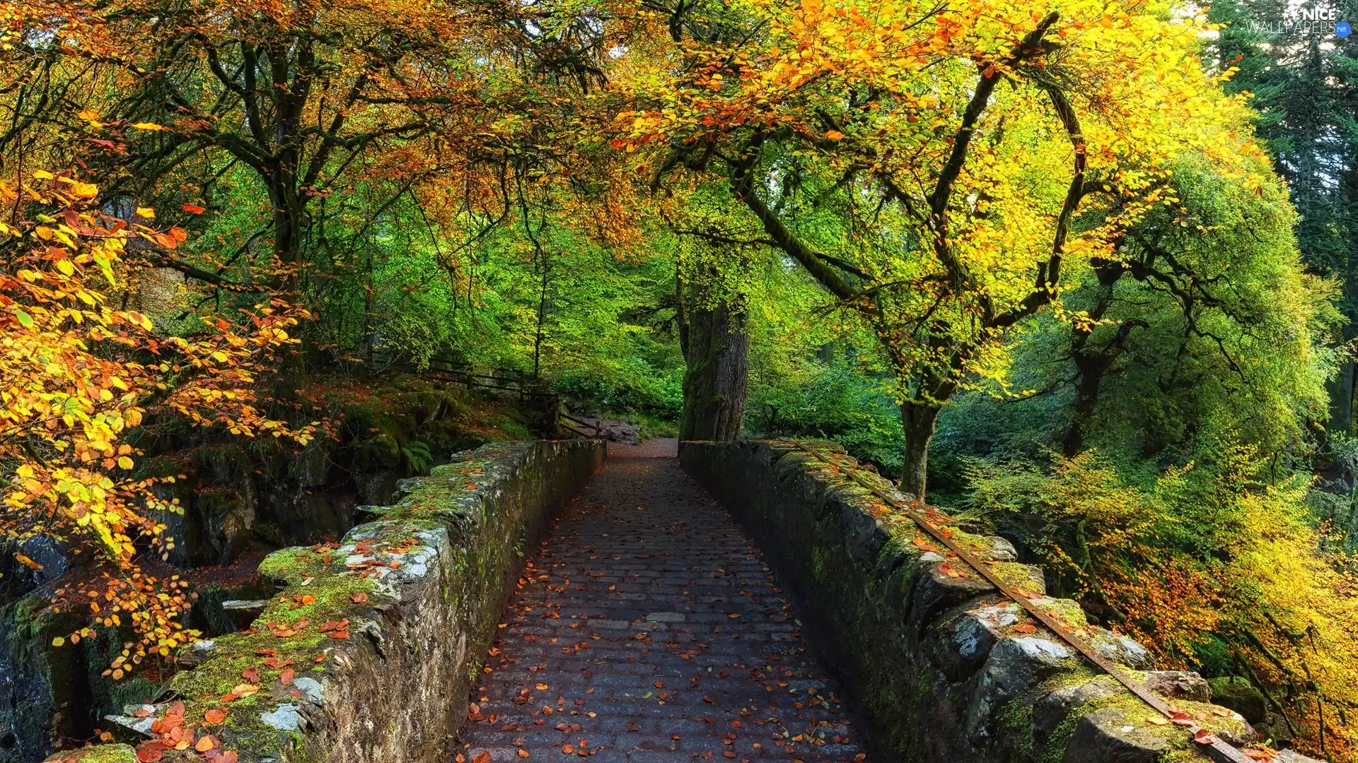 trees, stone, Park, autumn, viewes, bridge