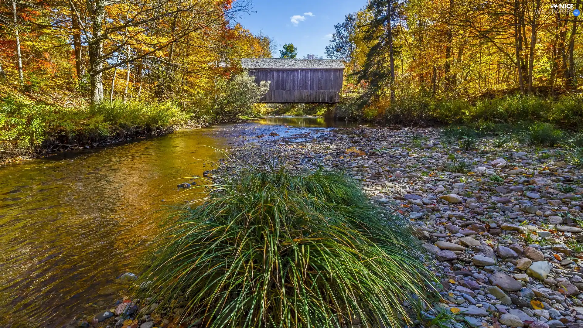 autumn, River, trees, viewes, covered, bridge, grass, wooden, cluster