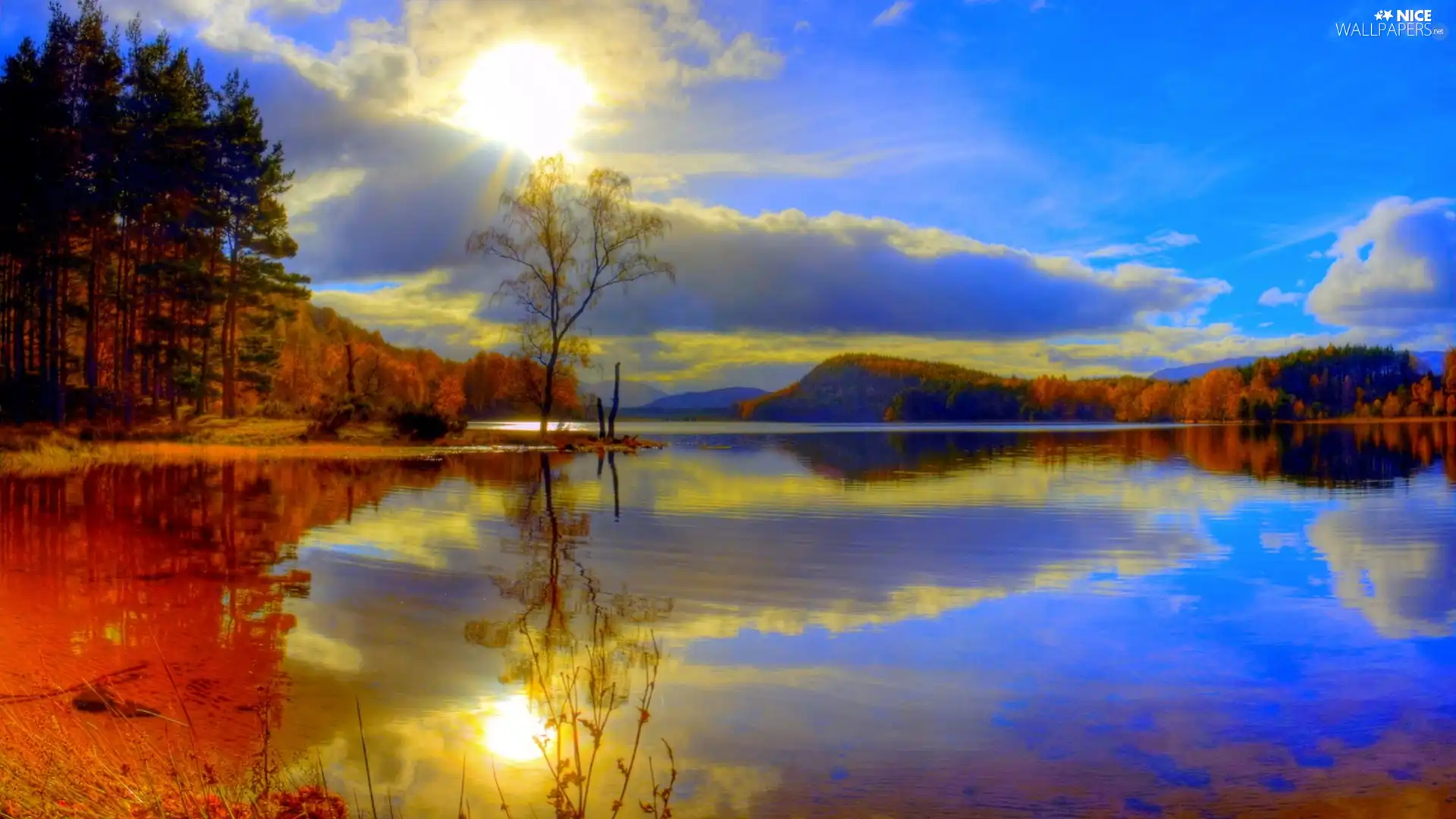 lake, reflection, autumn, forest