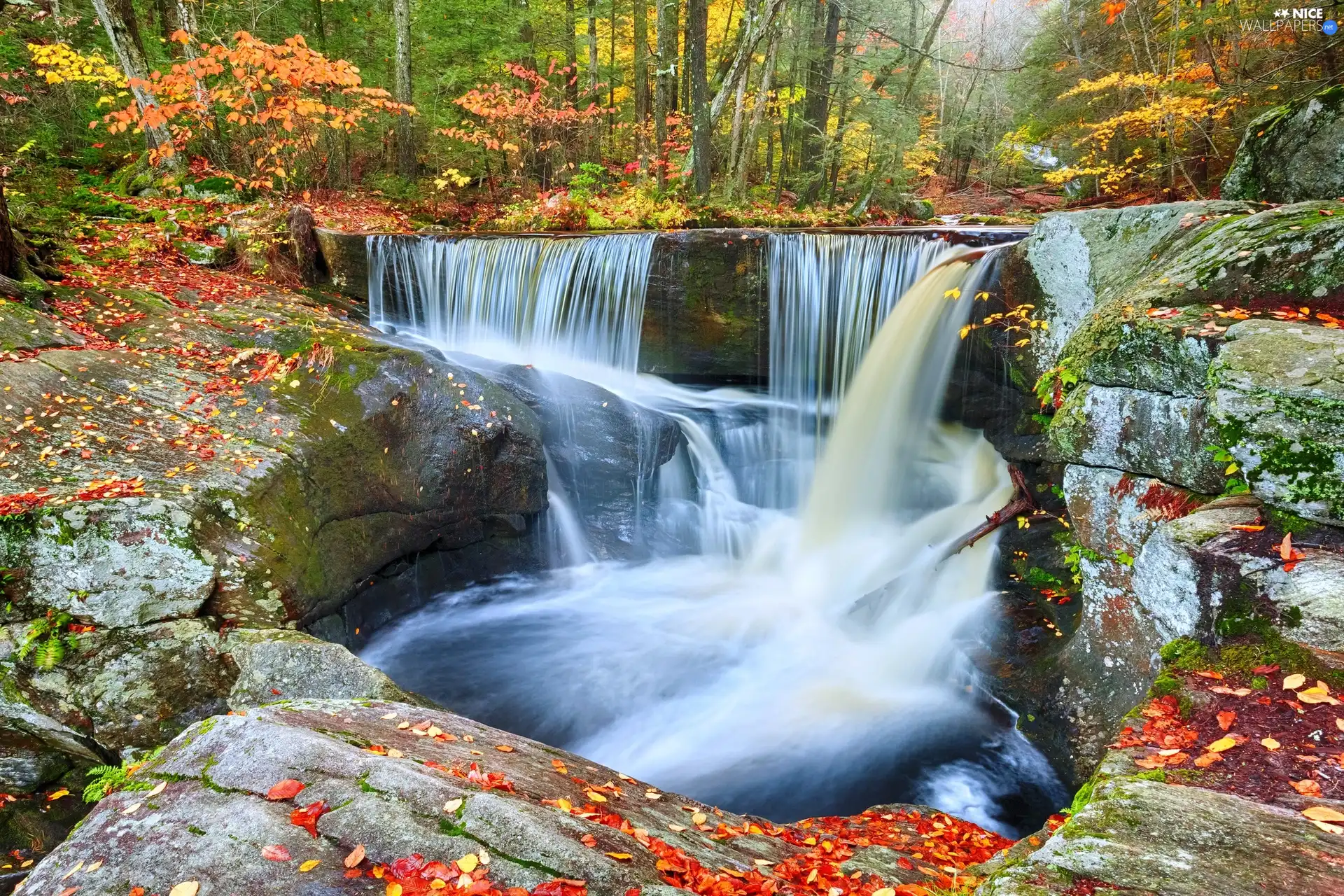 waterfall, forest, autumn, rocks