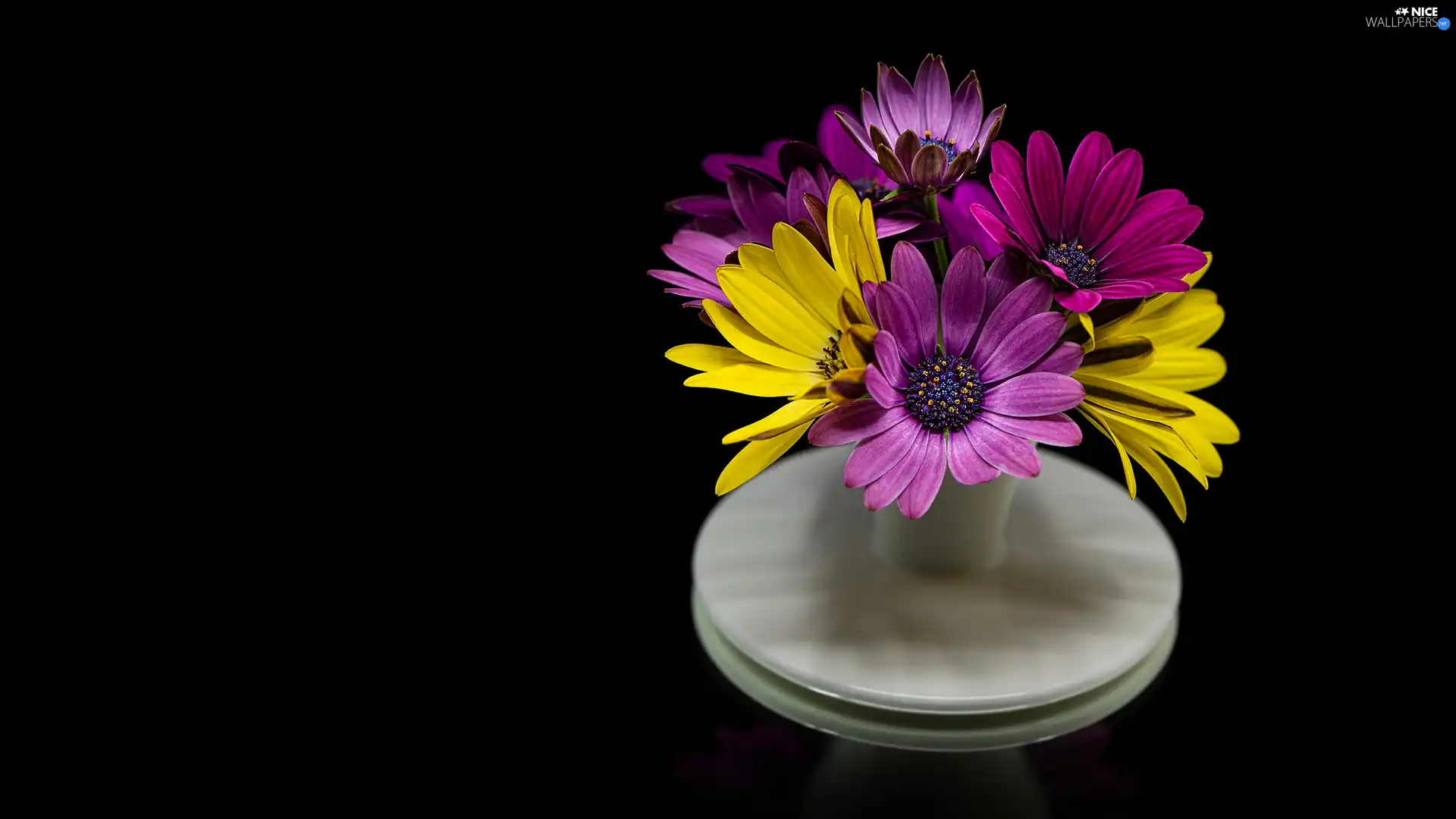 Vase, bouquet, Black, background, table, African Daisies