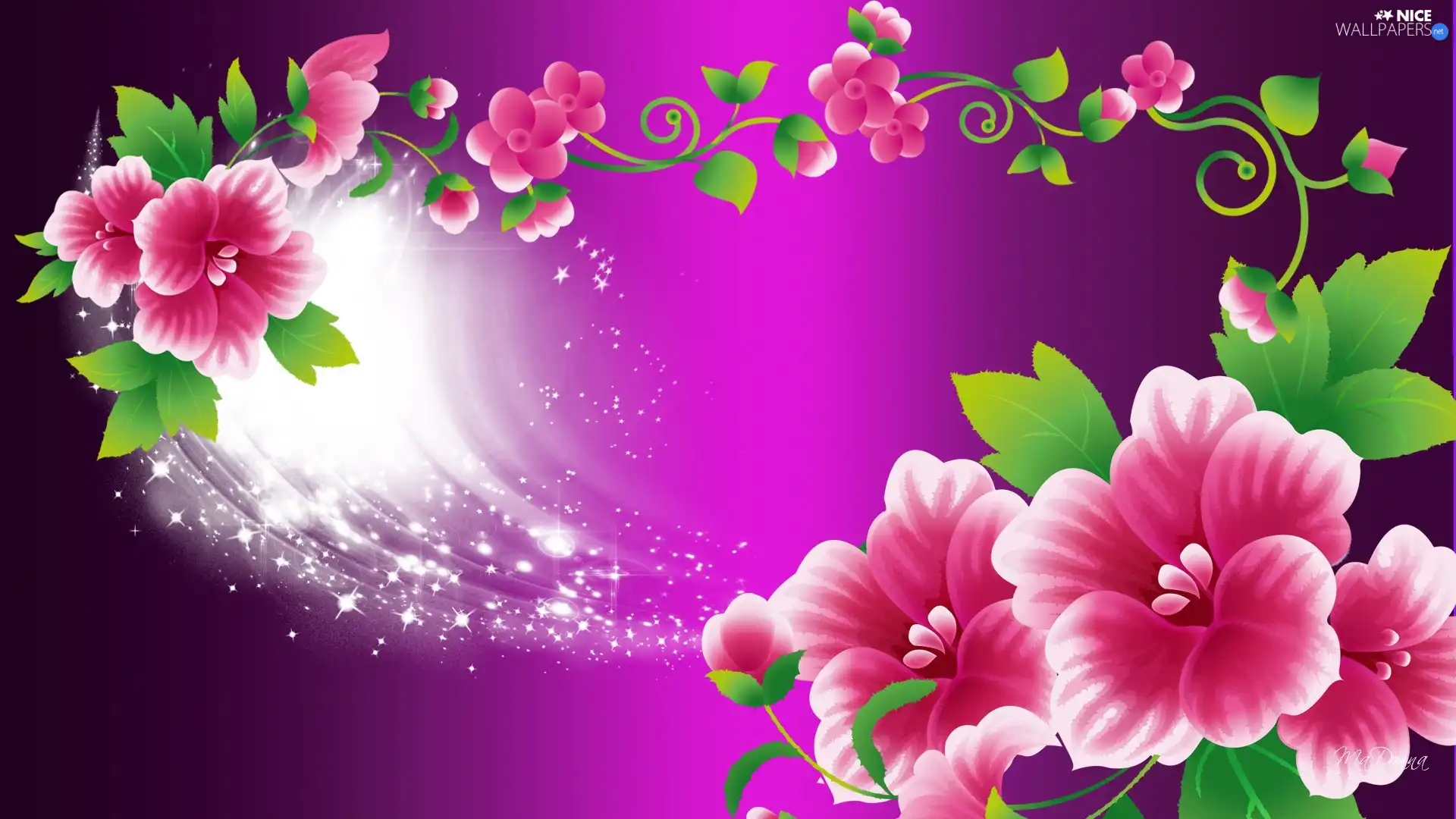 background, graphics, Flowers, purple, Pink