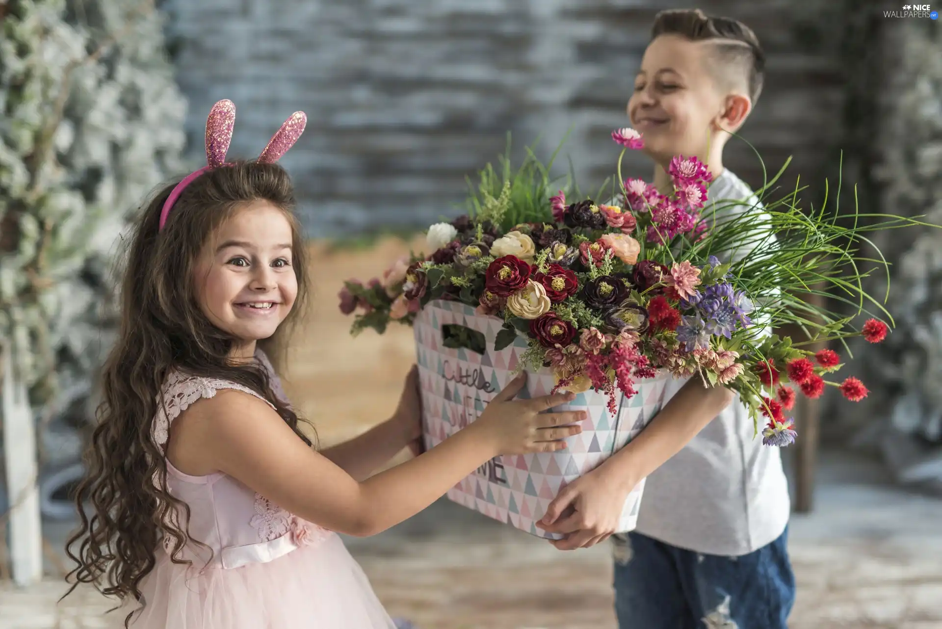 Flowers, color, basket, Hair, Longs, fuzzy, boy, Kids, background, Band, Smile, girl