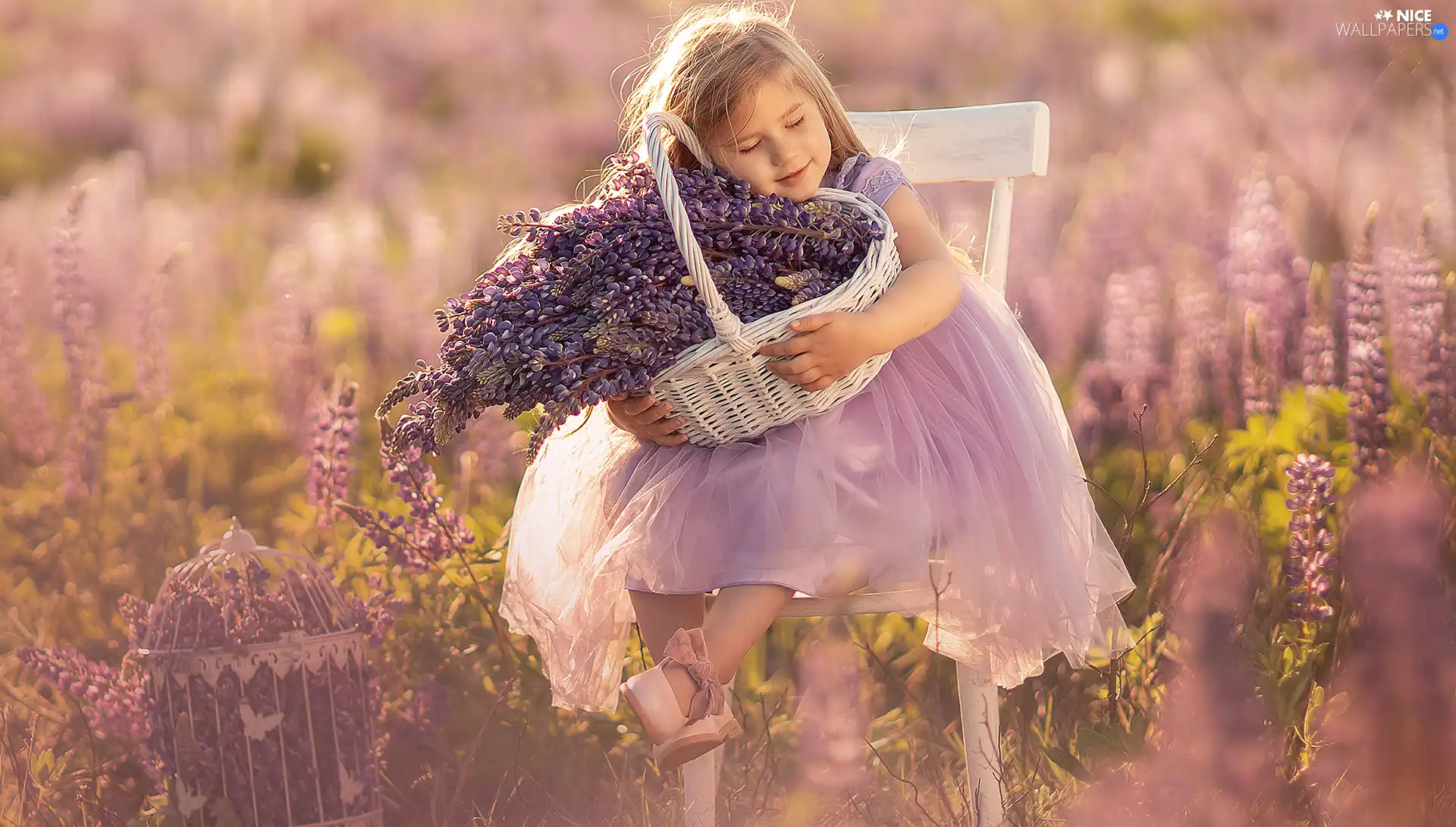 lupine, basket, girl, Flowers, Kids