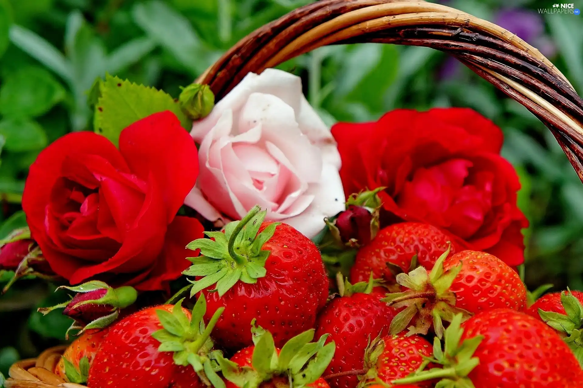 basket, strawberries, roses