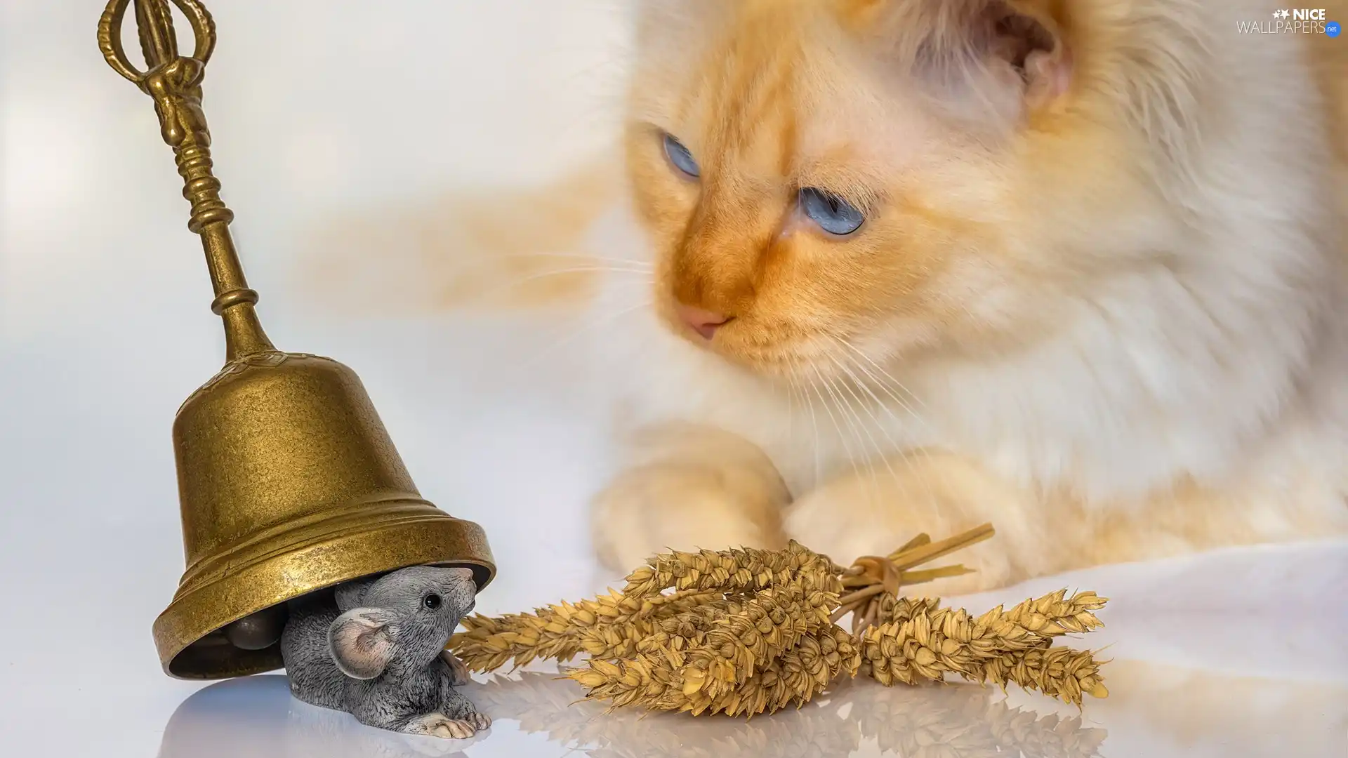 figure, mouse, cat, bell, Blue Eyed