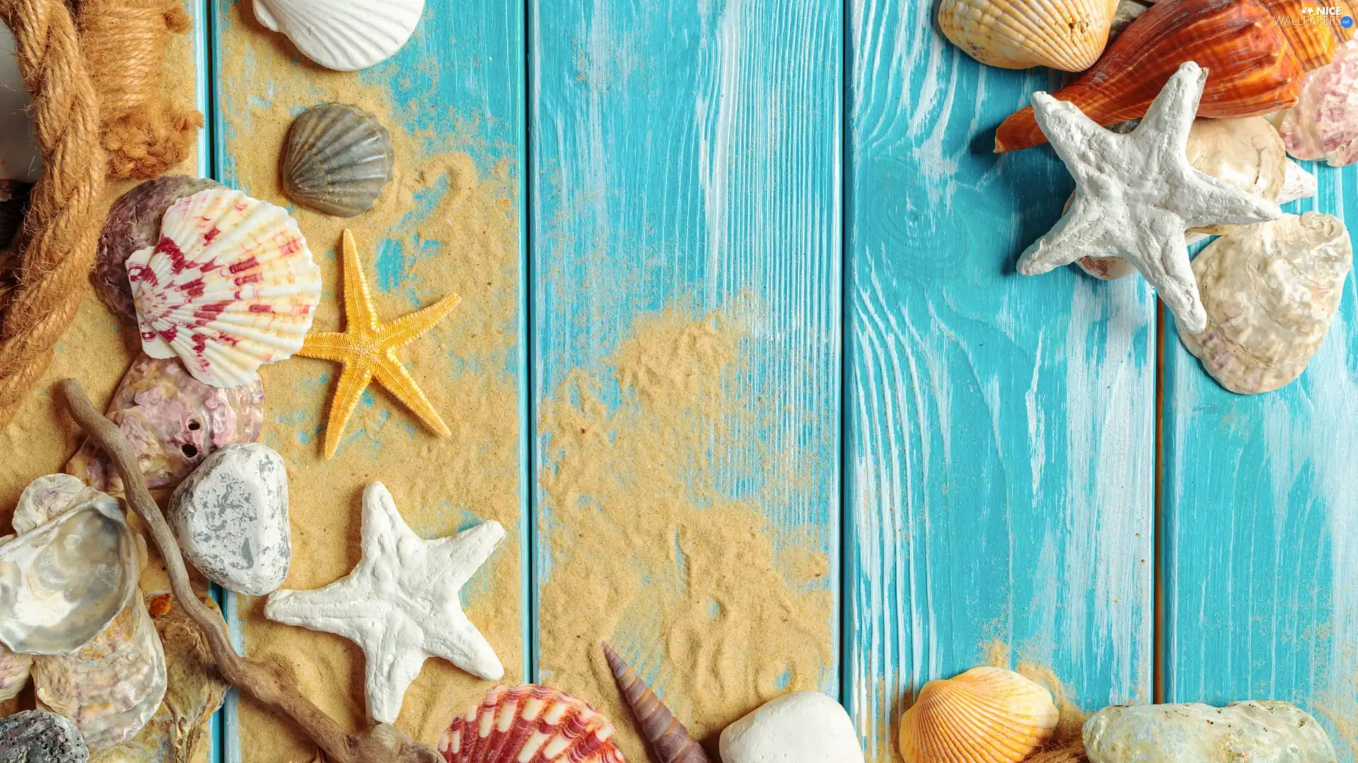 Pebble, starfish, Blue, boarding, Sand, Shells