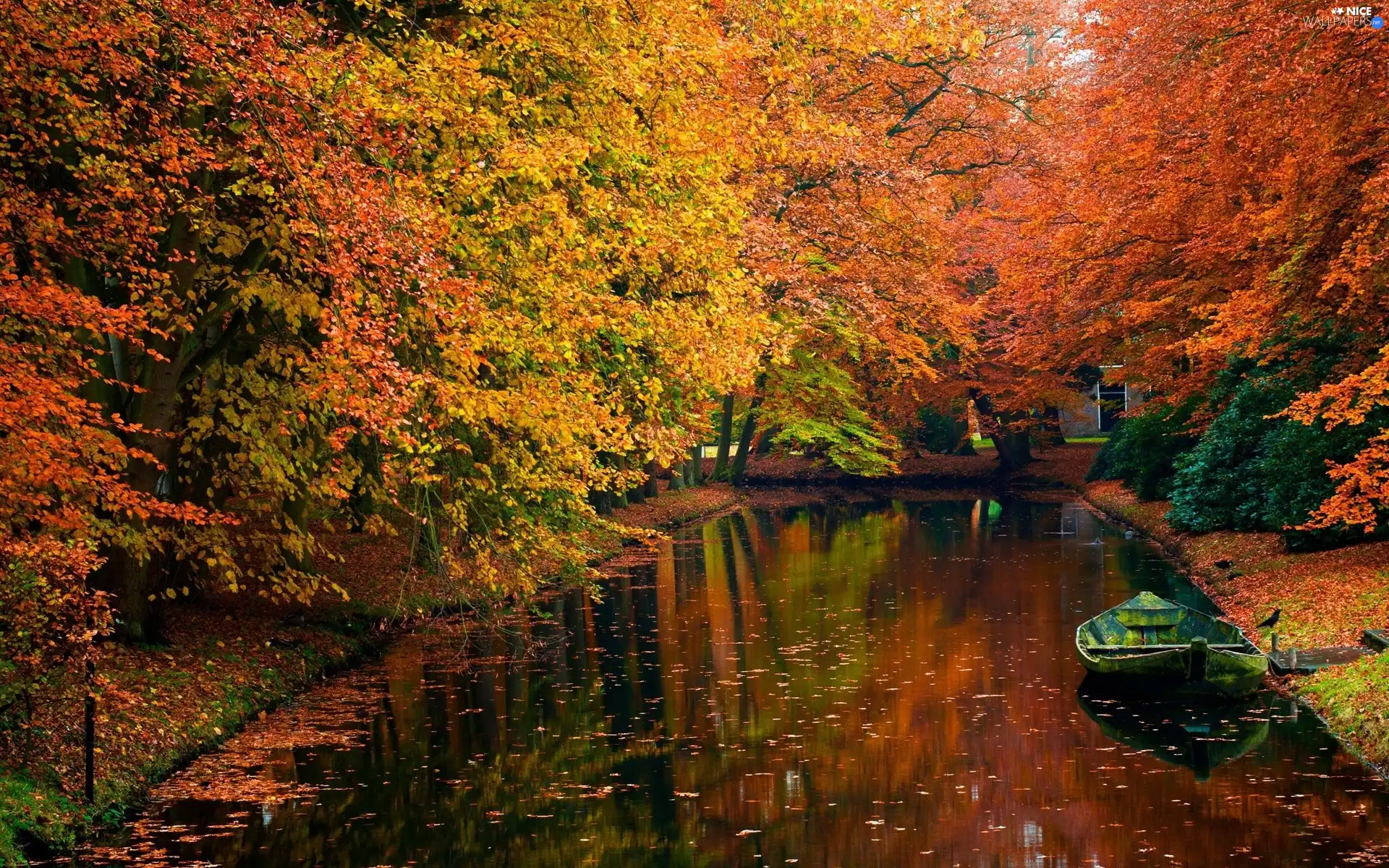 Boat, autumn, Park