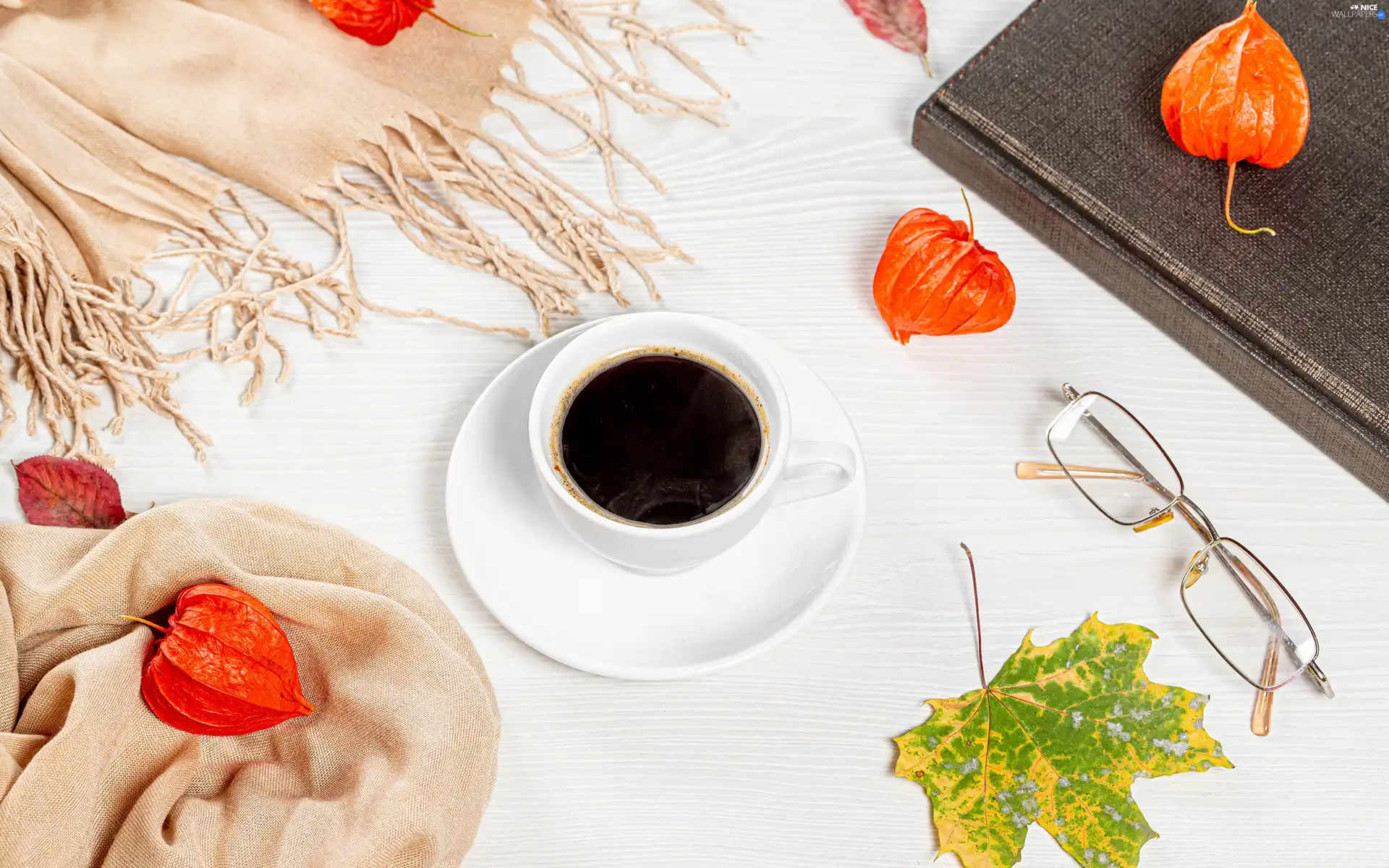 Tomatillo, cup, composition, coffee, Glasses, Leaf, Scarf, Book