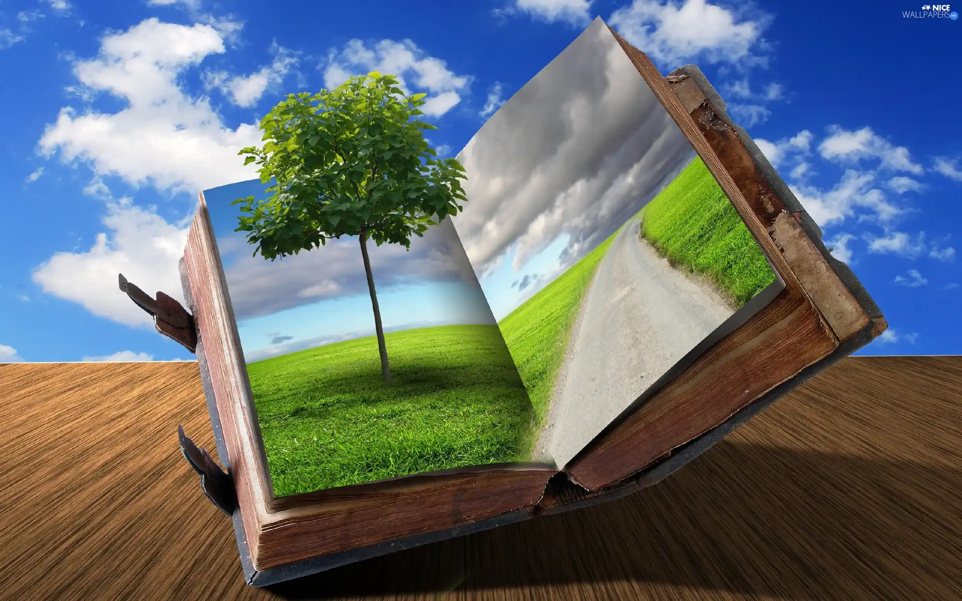 trees, Sky, Book, Meadow