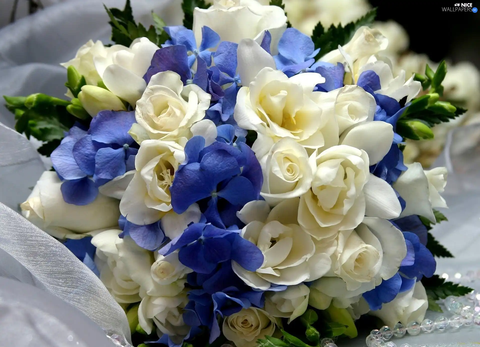 bouquet, white, blue