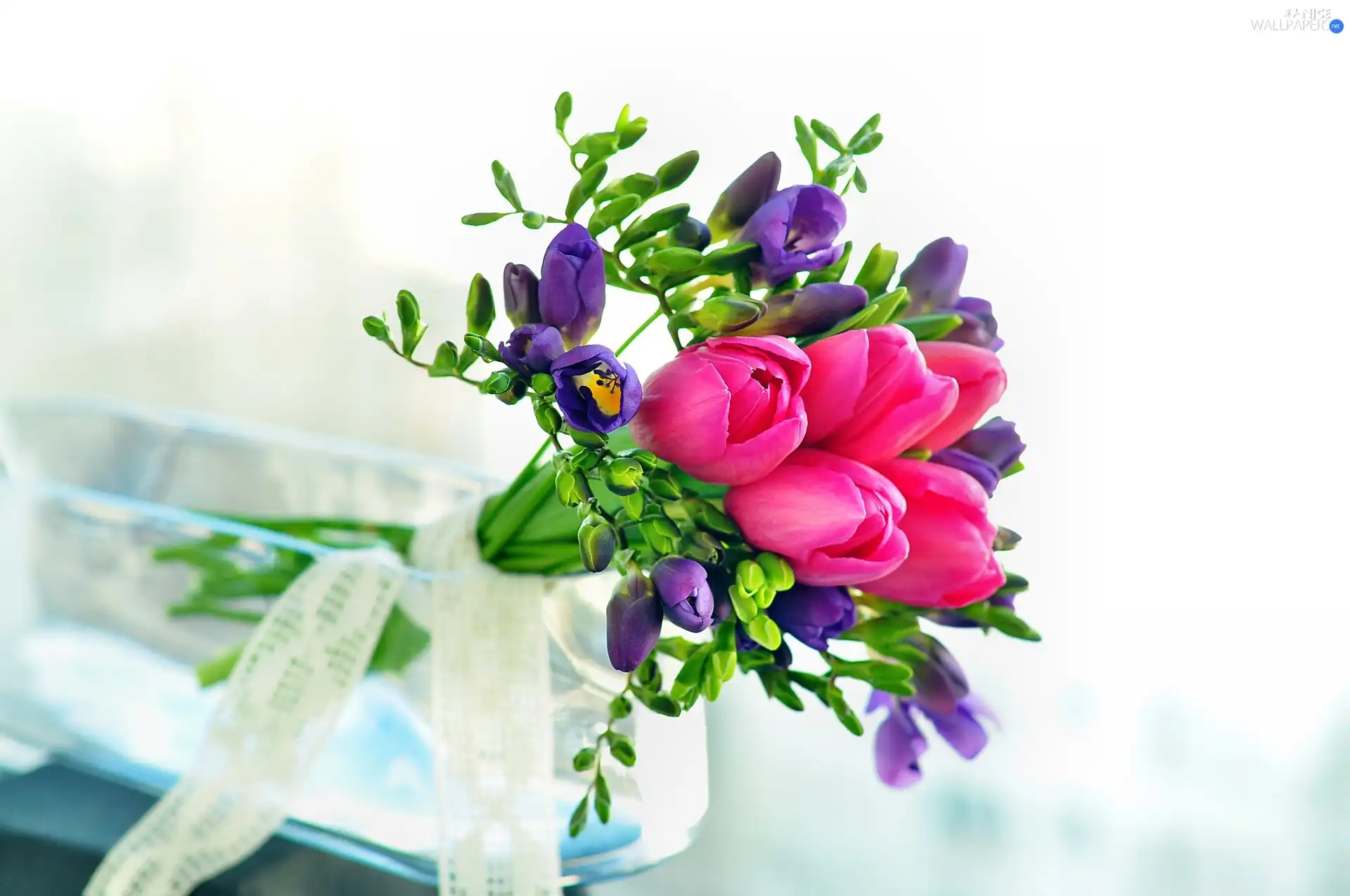 bouquet, Tulips, Freesias
