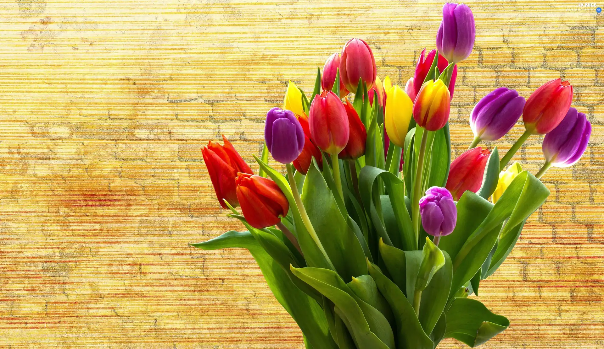 Tulips, bouquet, undeveloped, color, Flowers