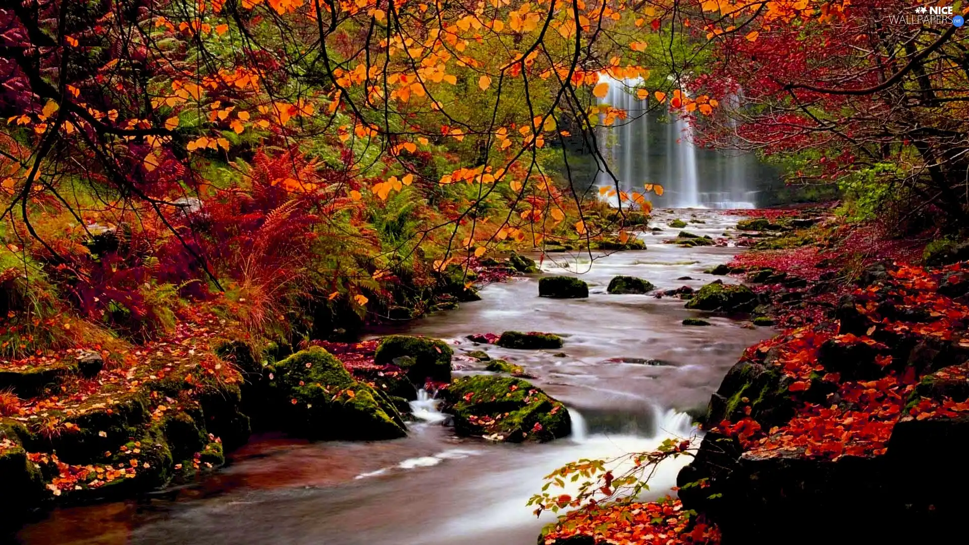 branch pics, autumn, River, Stones, waterfall
