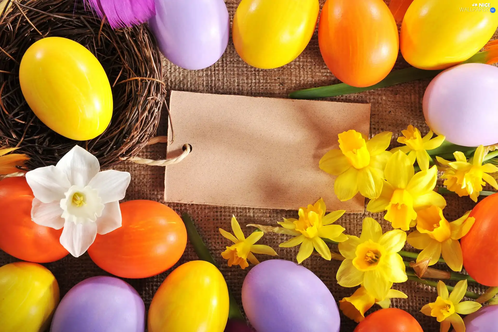 Daffodils, chit, eggs, nest, Easter