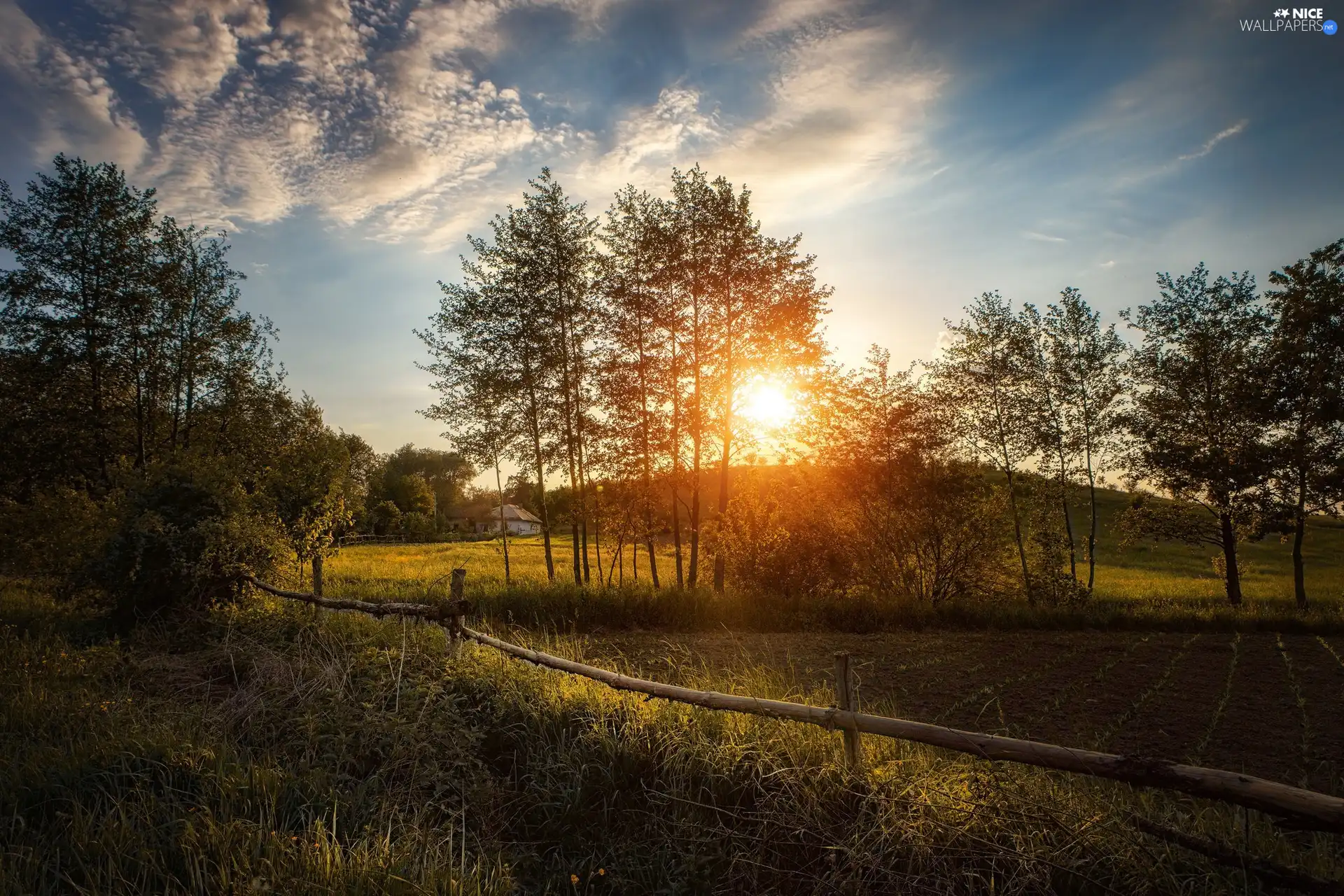 viewes, VEGETATION, country, Sunrise, Home, trees, Meadow, clouds