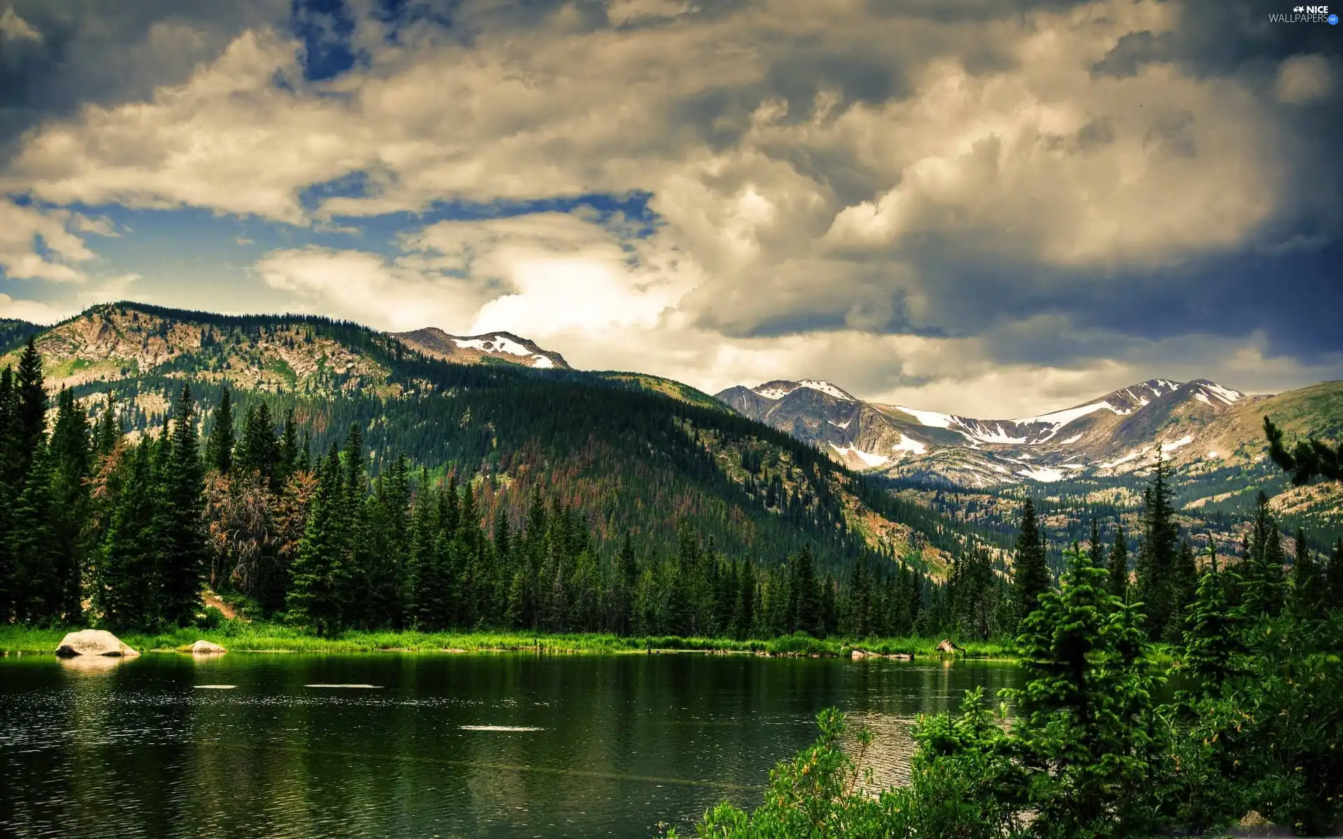 Mountains, Spruces, clouds, lake