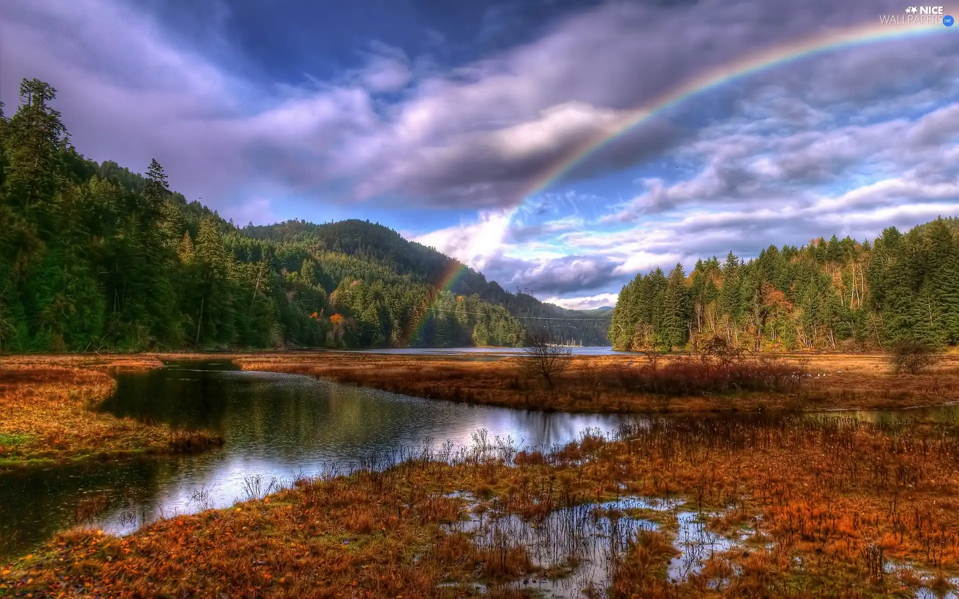 clouds, Great Rainbows, marshland, woods, River
