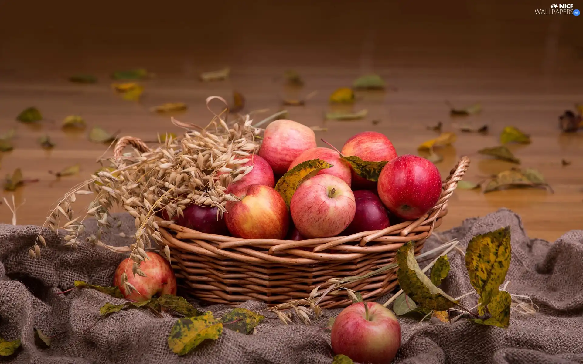 apples, Leaf, composition, basket