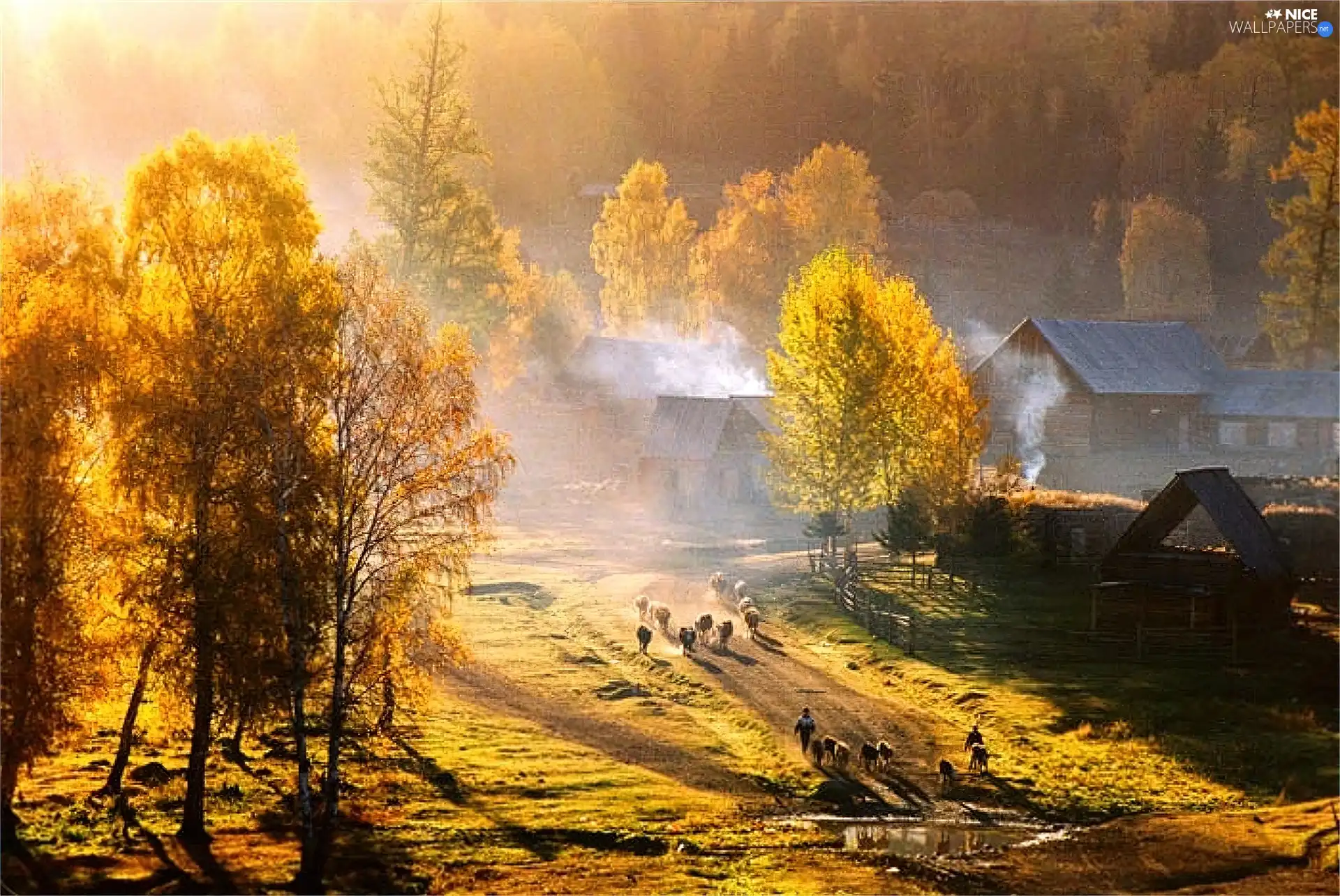 autumn, country
