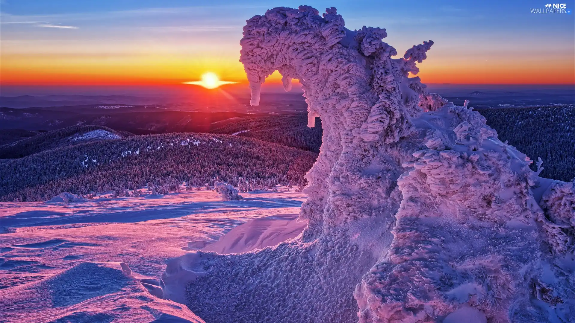 winter, snow, Snow-covered Tree, Great Sunsets