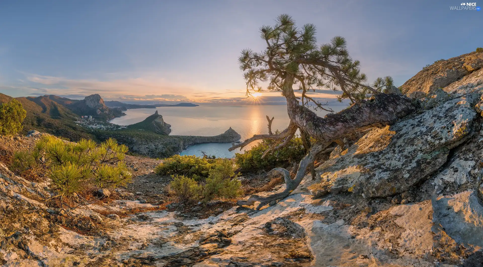 rocks, Black Sea, pine, Sunrise, Coast, trees, Crimea
