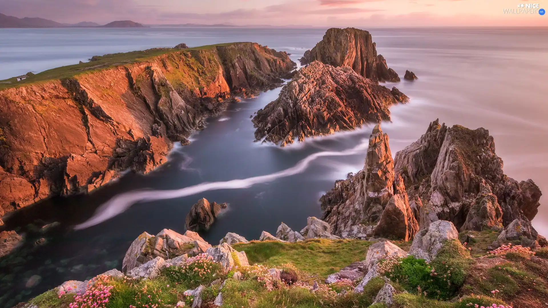Sunrise, sea, County Donegal, Ireland, VEGETATION, rocks