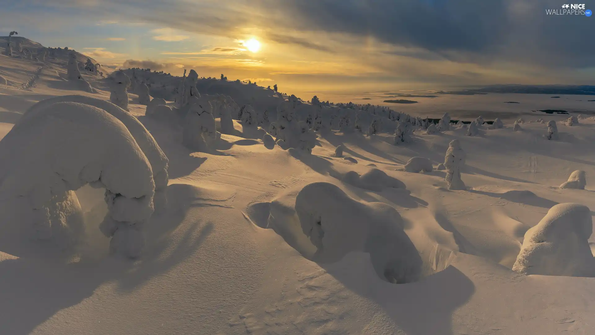 snowy, Sunrise, viewes, drifts, trees, winter