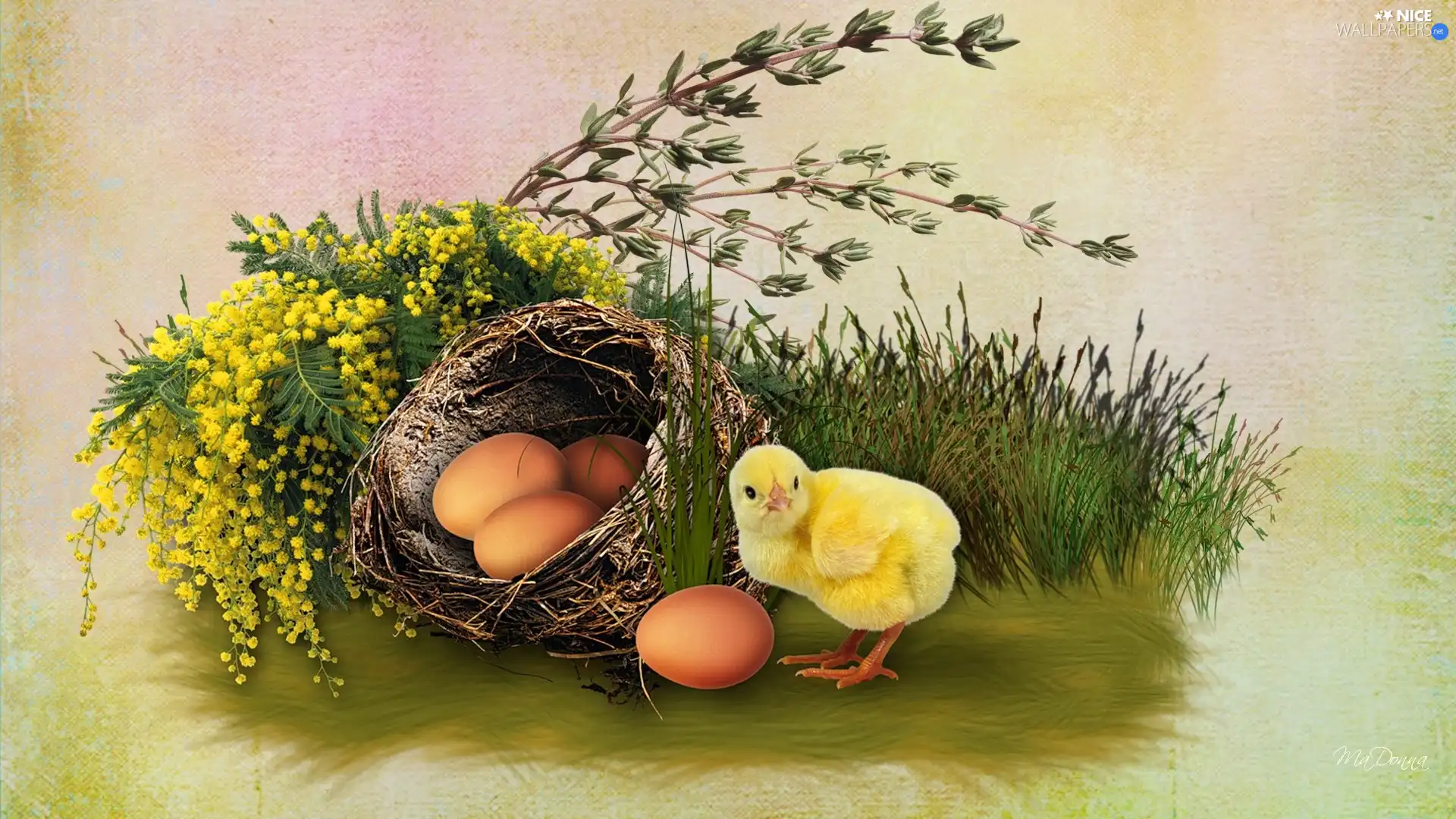 Easter, eggs, chicken