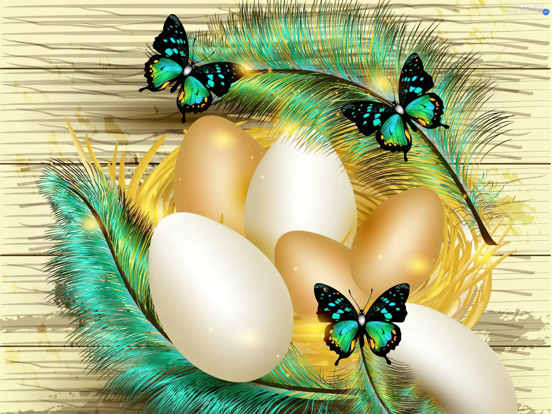 Easter, graphics, butterflies, feather, eggs
