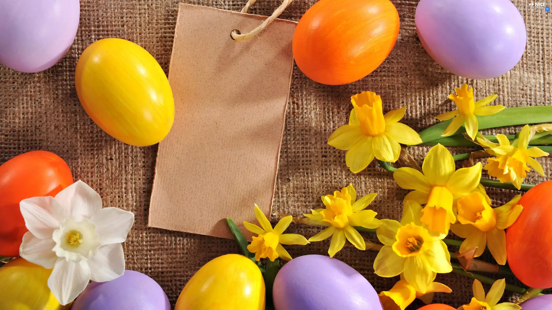 Easter, Daffodils, chit, eggs