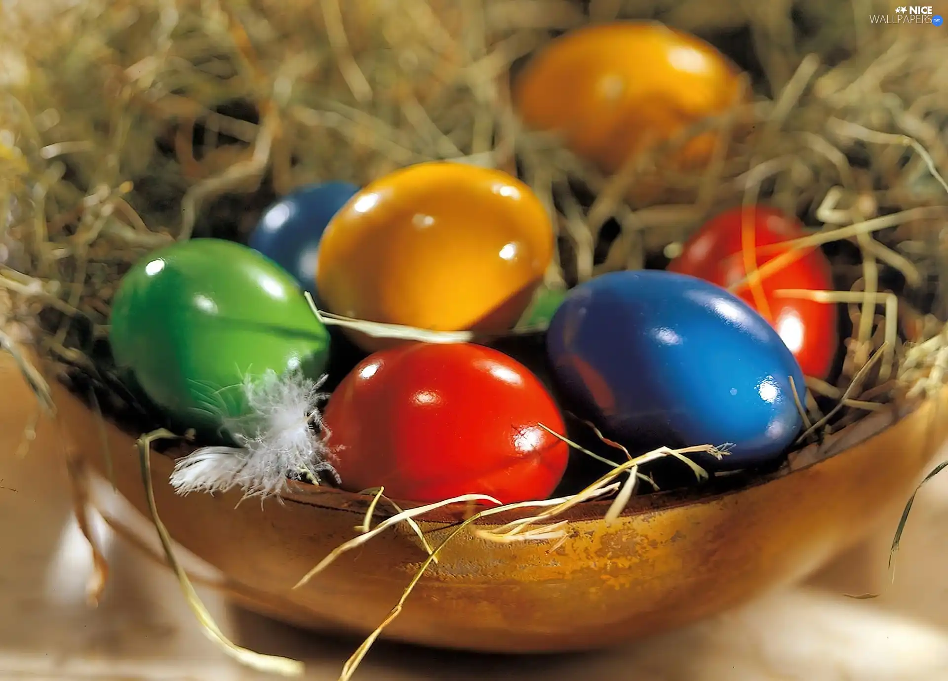eggs, color, eggs