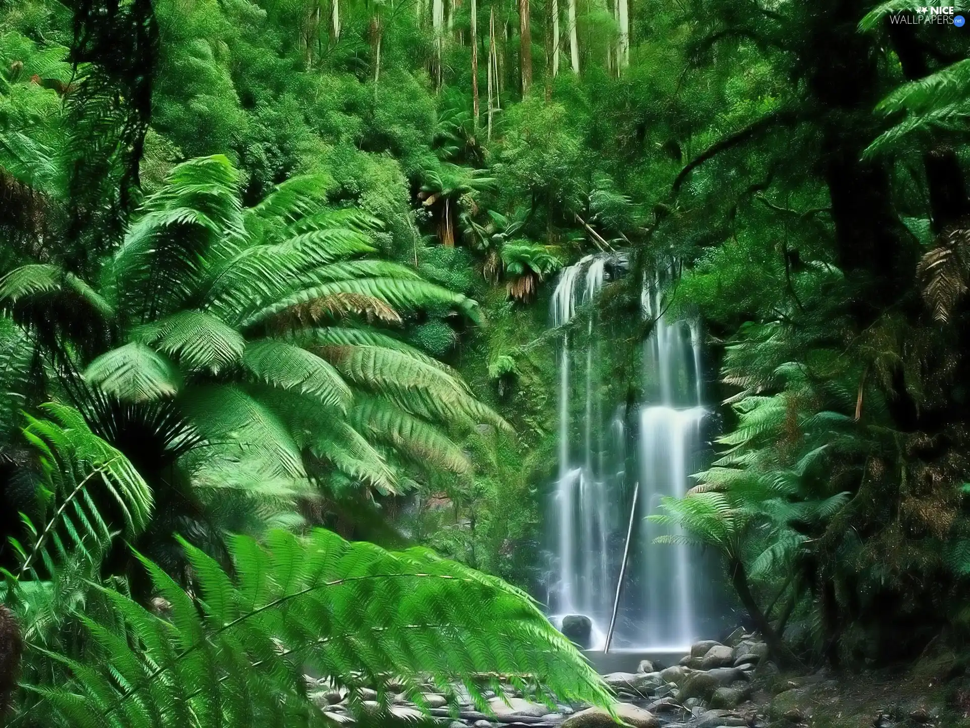 fern, waterfall, Tropical