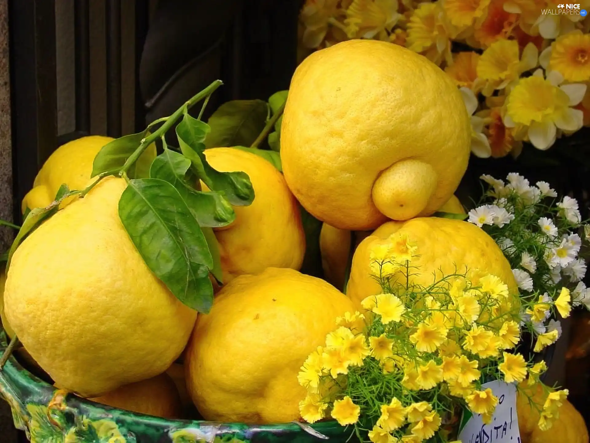 flowers, lemons, change