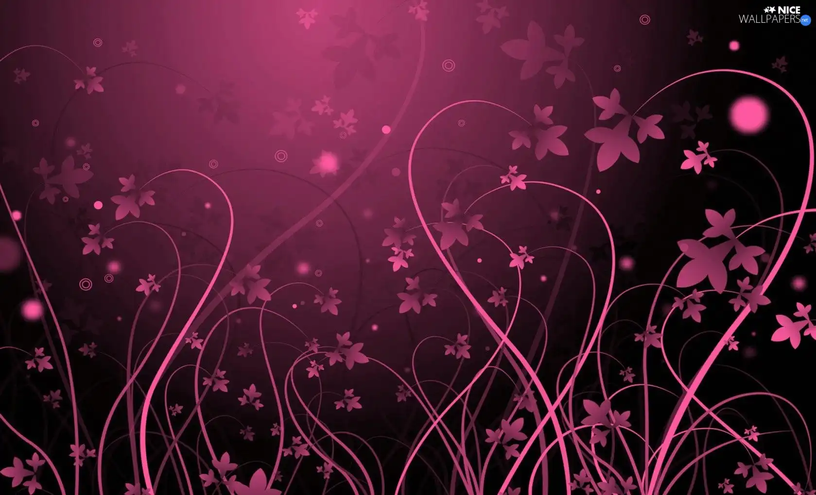 Pink, flowers