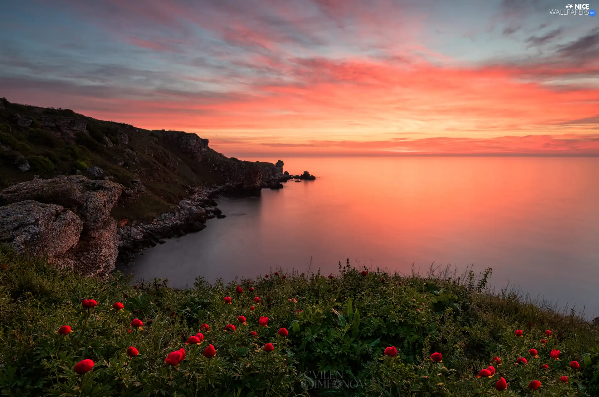 Great Sunsets, Coast, Flowers
