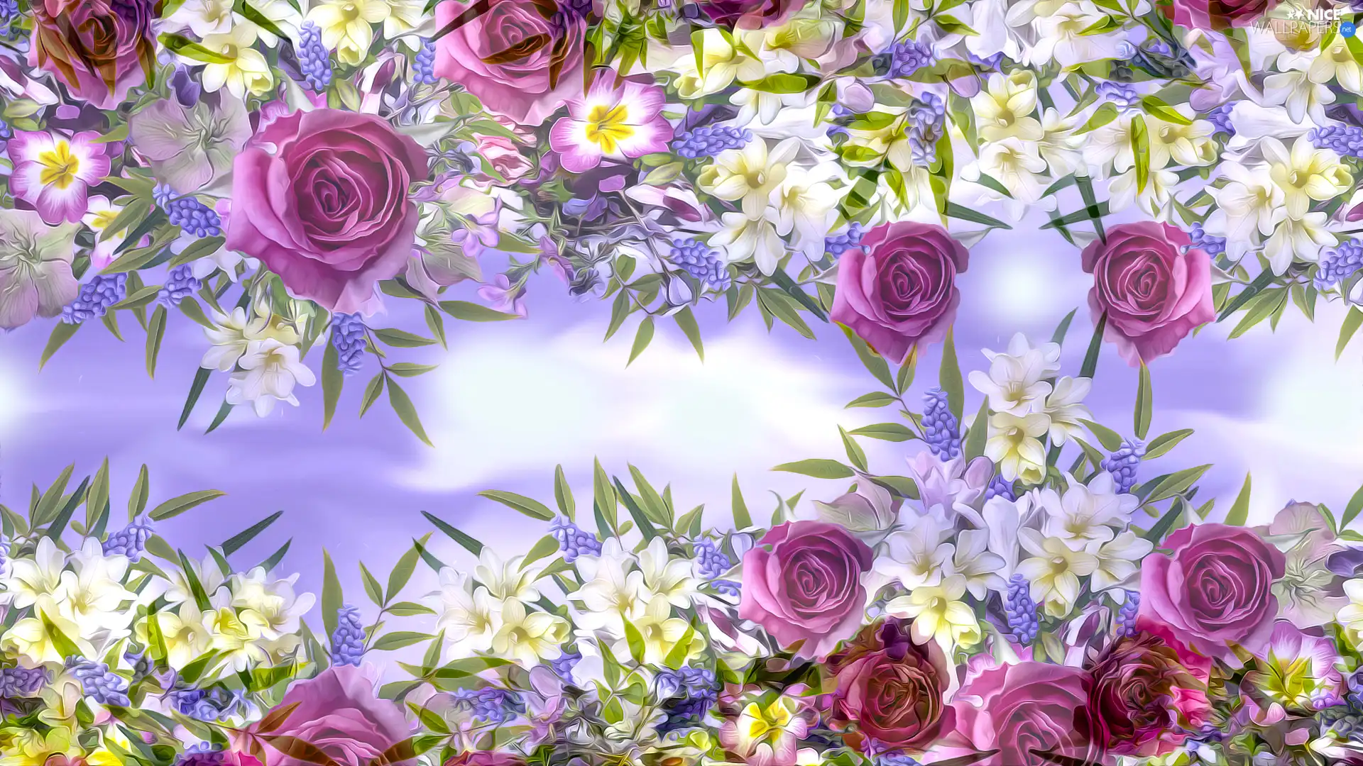 White, roses, graphics, Flowers