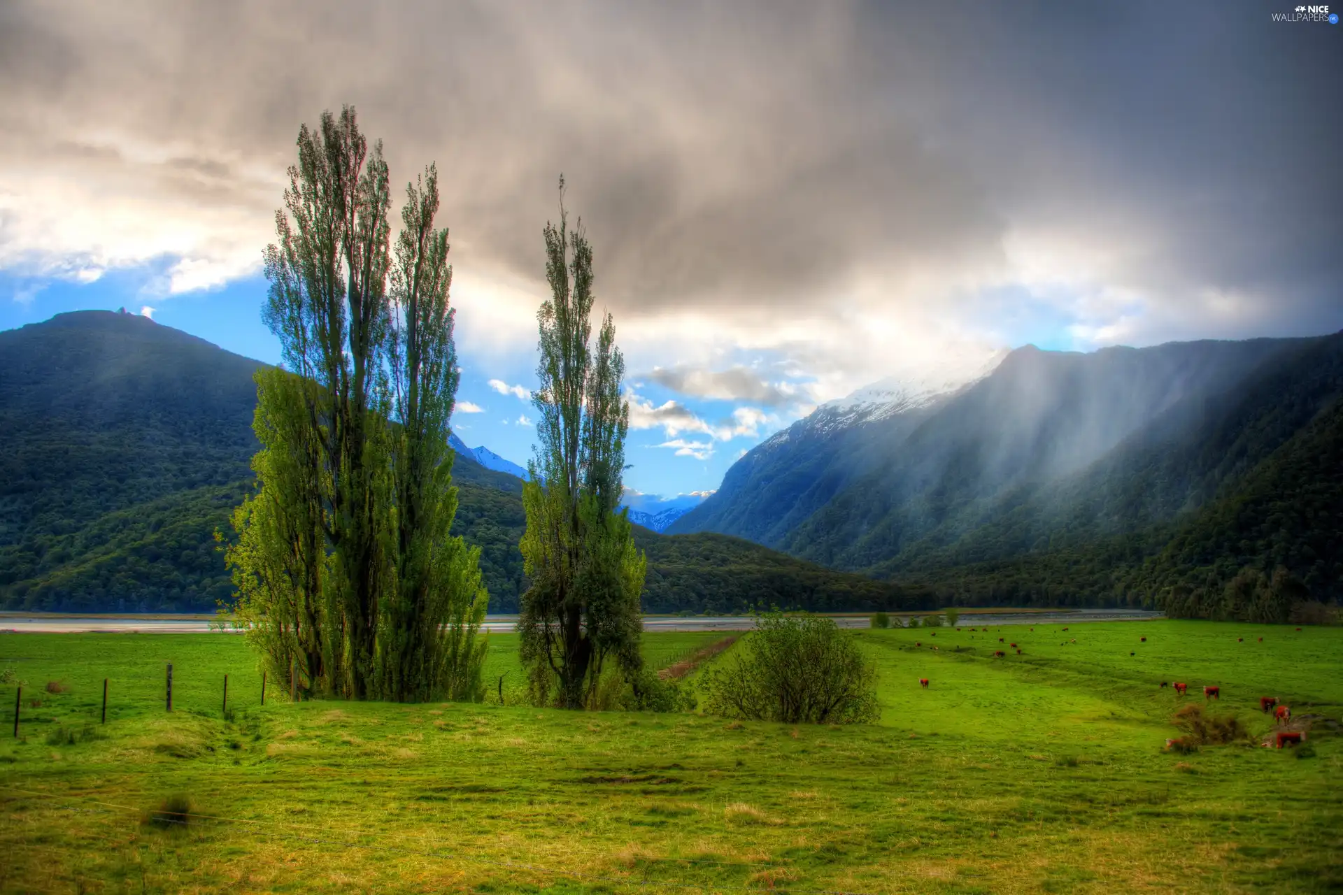 Fog, clouds, woods, River, Mountains