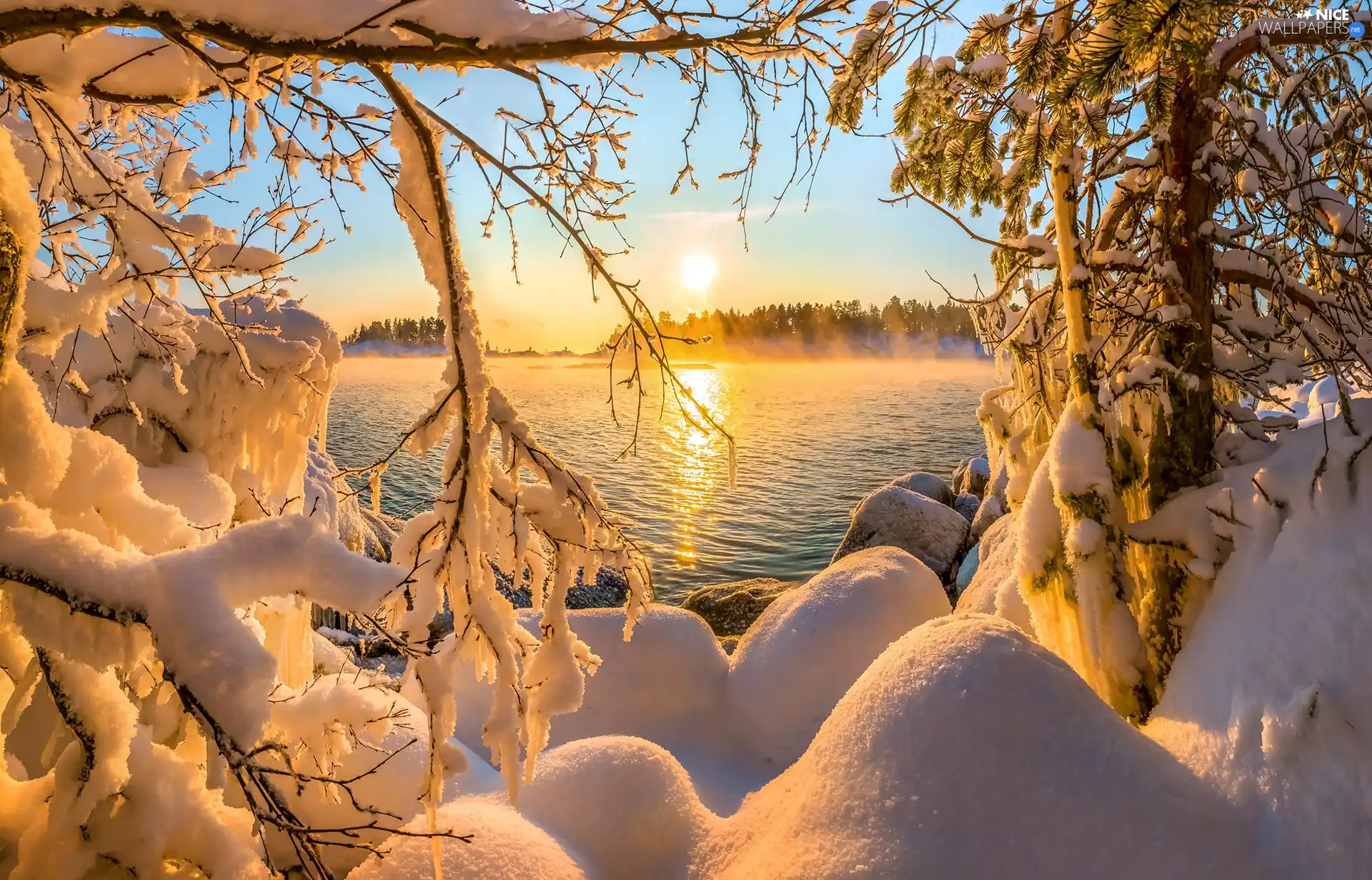 Great Sunsets, winter, Fog, forest, trees, branch pics, Snowy, lake, snow, viewes, Sky