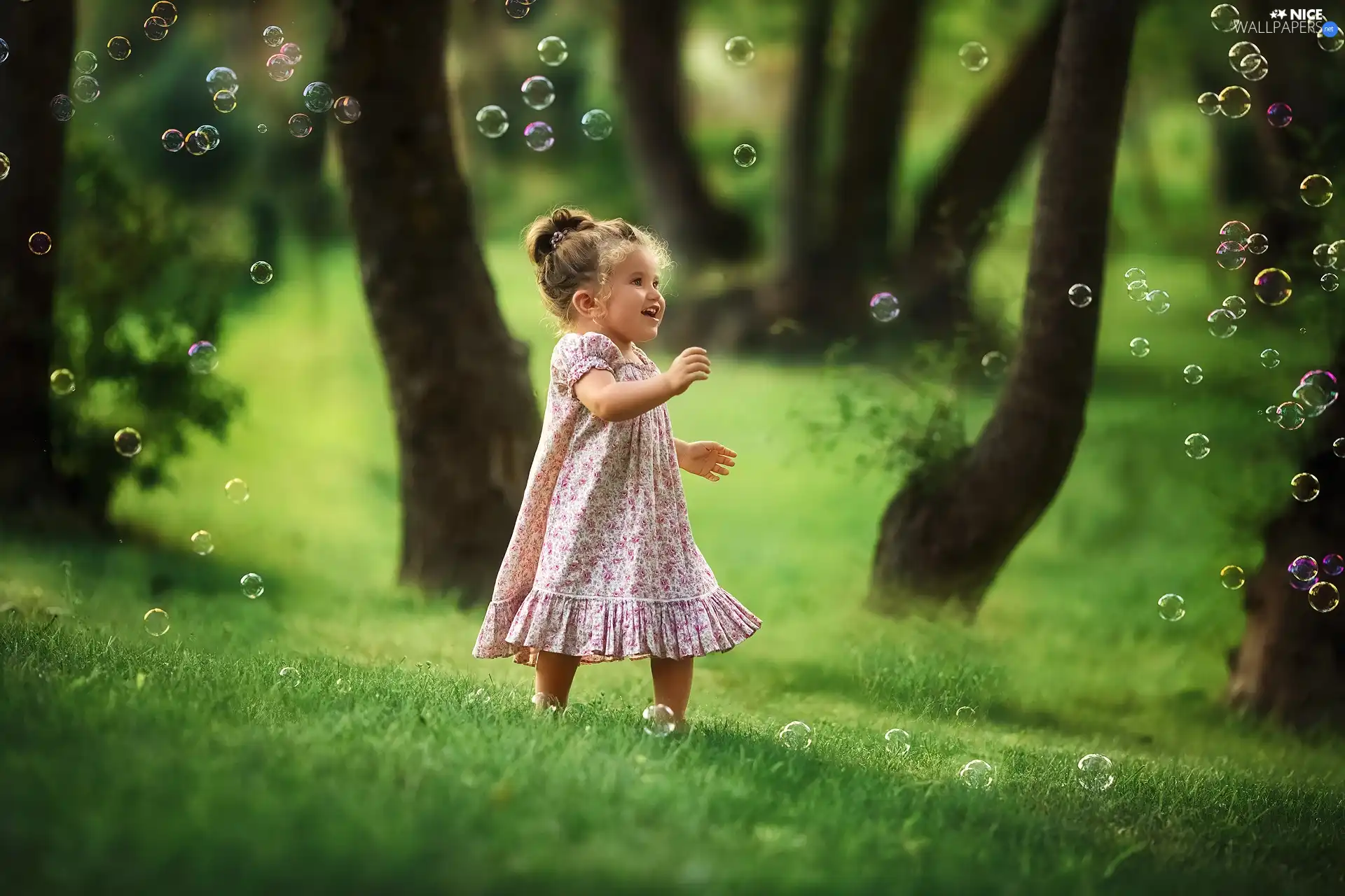 forest, trees, soap, viewes, interesting eyes, girl, Kid, grass