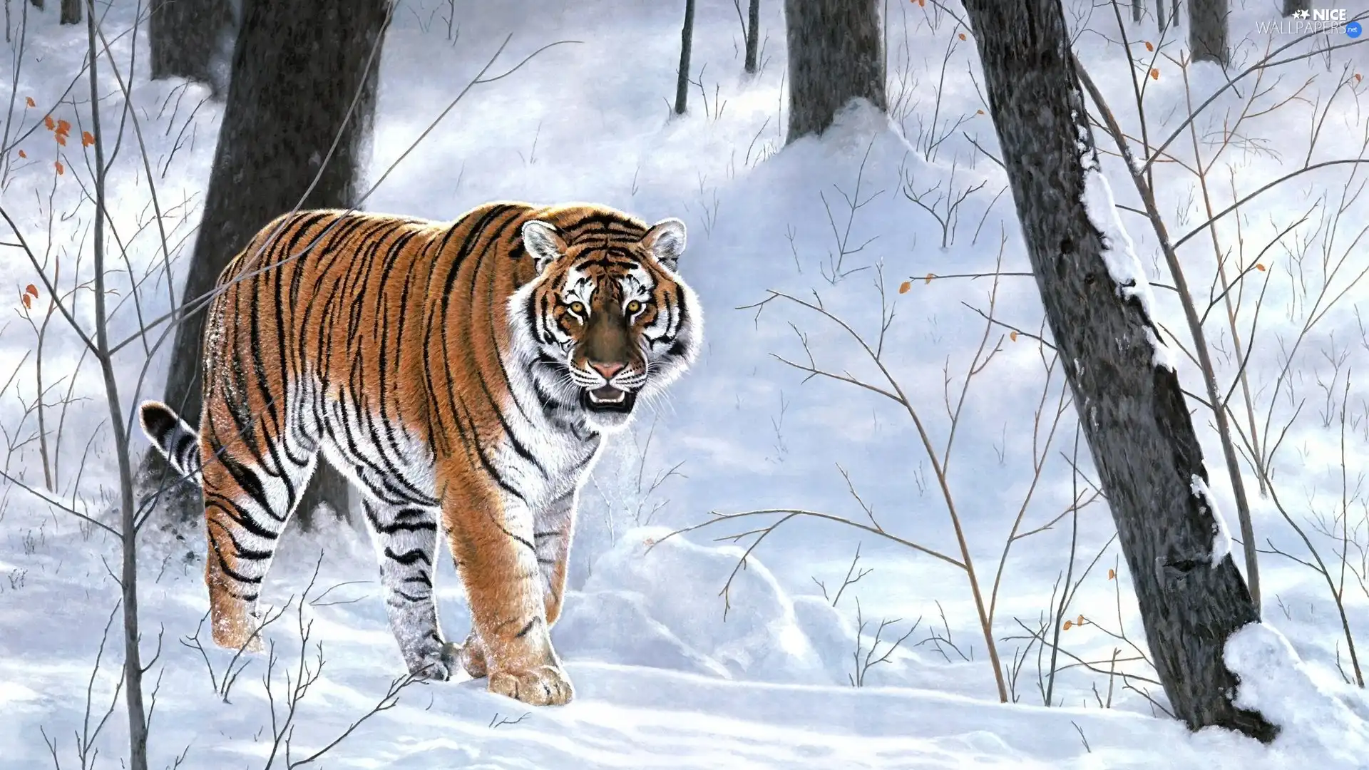 forest, tiger, winter