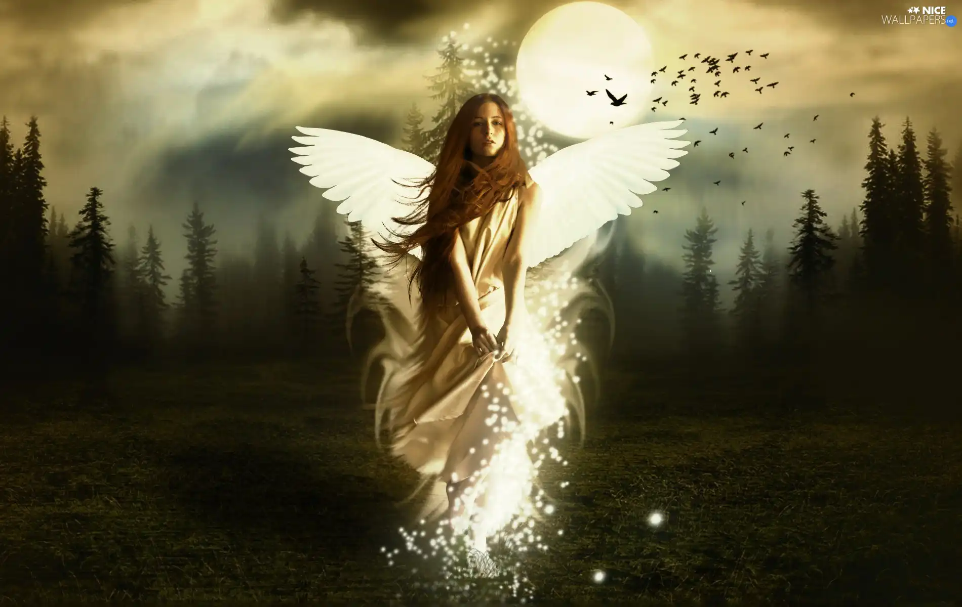 Women, moon, forest, wings