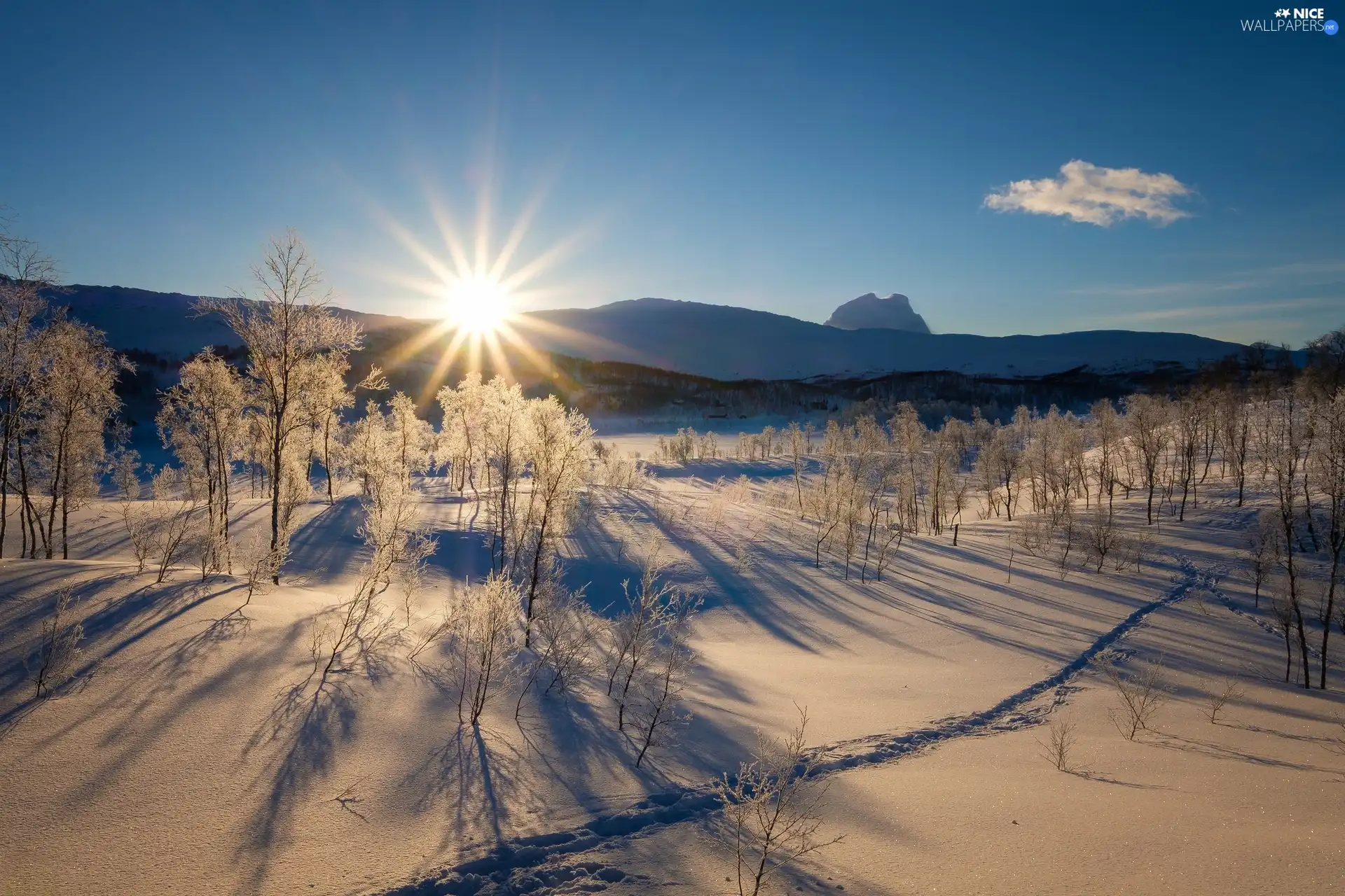 frosty, rays of the Sun, viewes, Mountains, winter, trees, Path