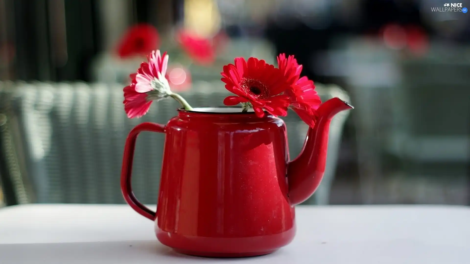 gerberas, jug, Red, Flowers, decoration